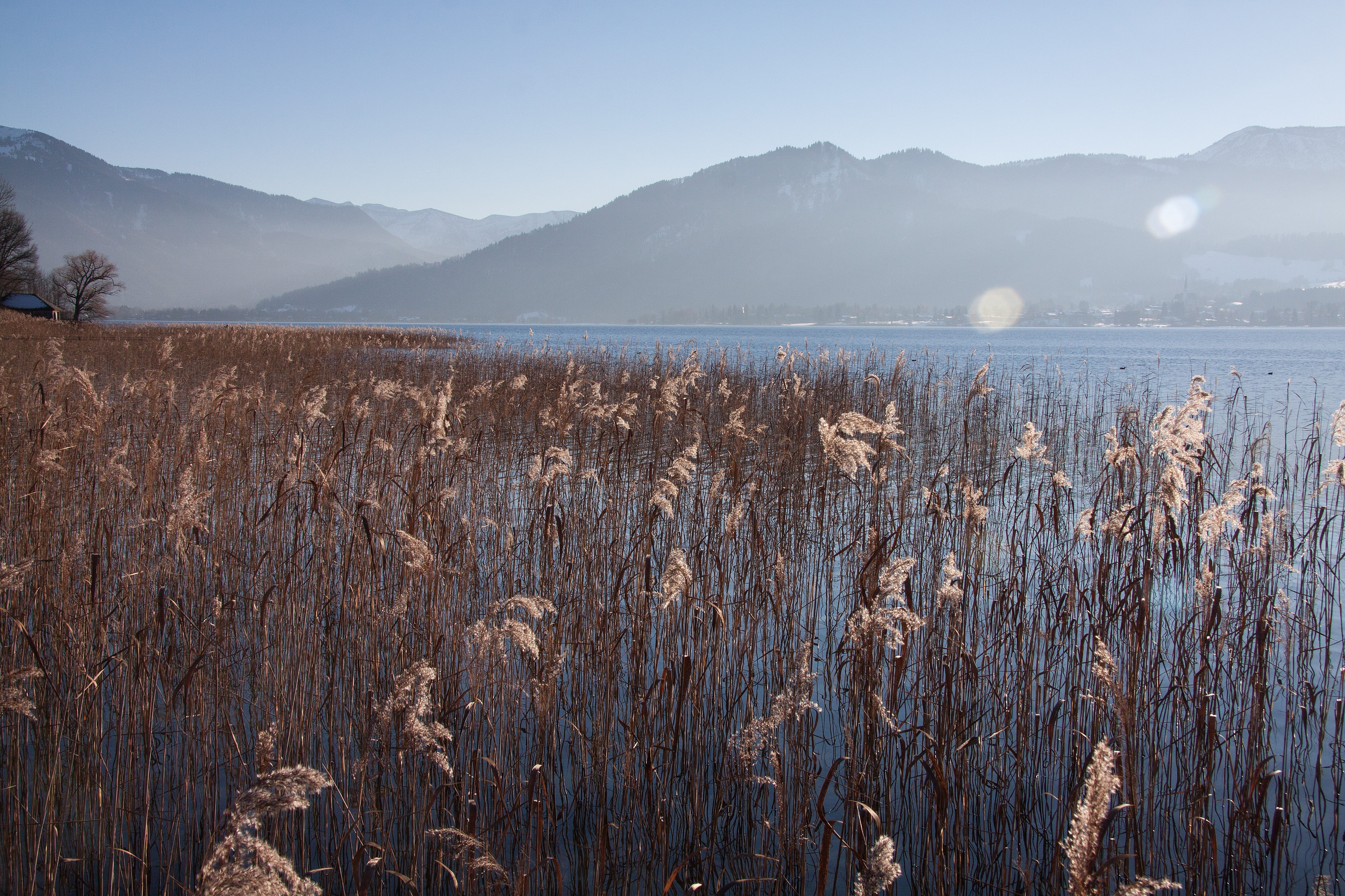Bank, outdoors, landscape, growth, land, grass, haze, 4K, reed, nature, Sky, blue, scenics - nature, mountain range, plant, tranquil scene, no people, HD Wallpaper