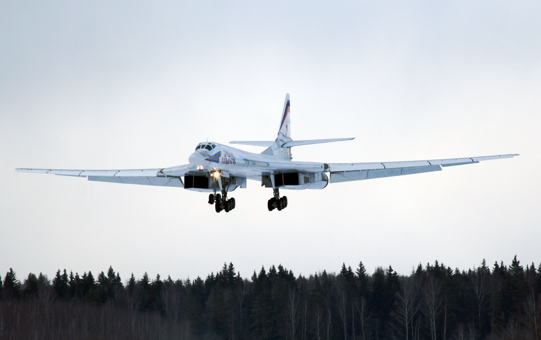 Strategic aircraft, transportation, travel, flying, plant, airplane, outdoors, nature, on the move, aerospace industry, journey, The Tu-160, Tupolev, tree, HD Wallpaper