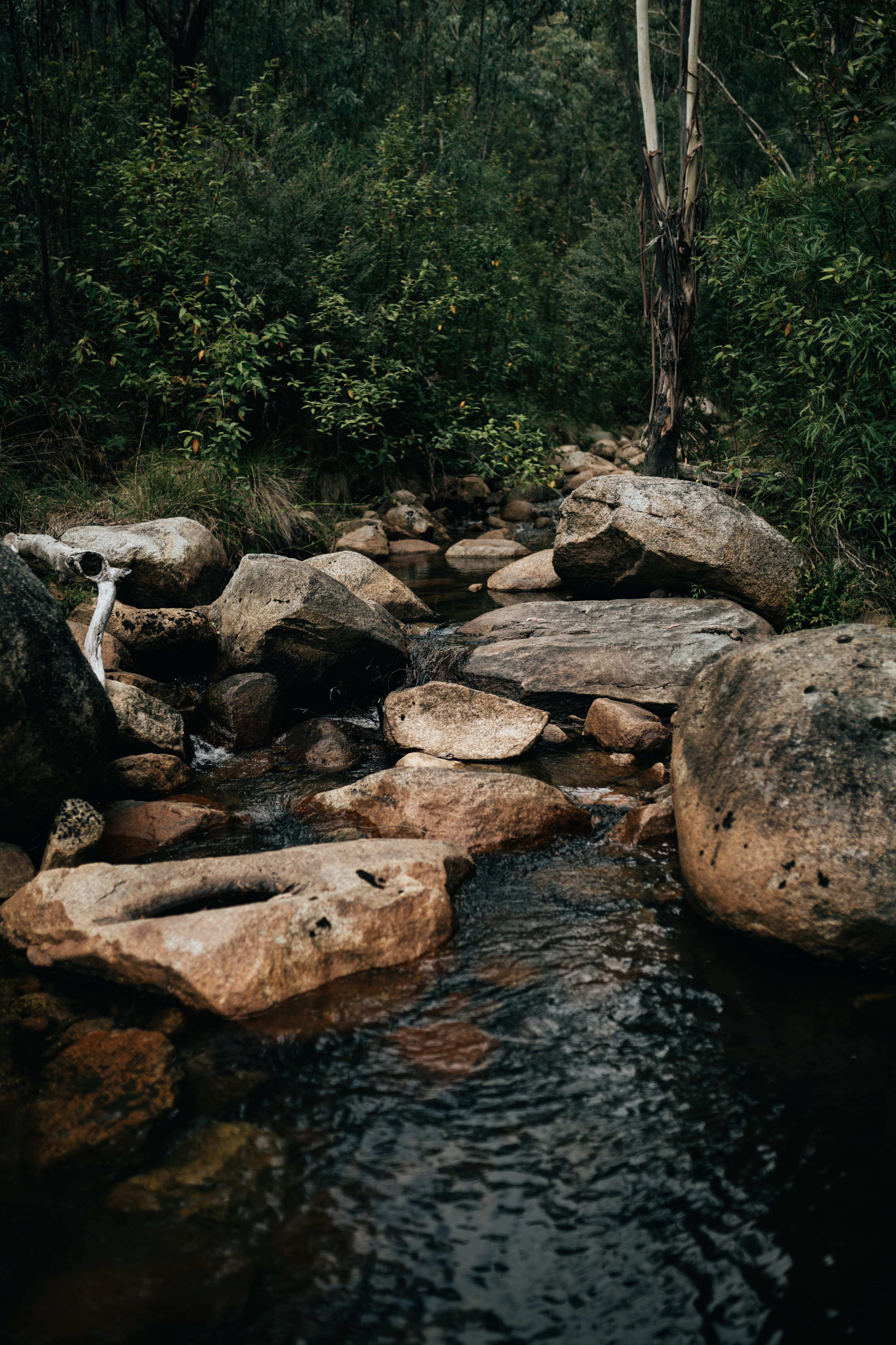 35mm, non-urban scene, beauty in nature, vsco, stream - flowing water, tree, tranquility, lake, rock - object, namadgi national park, waterfront, explore, Phone HD Wallpaper