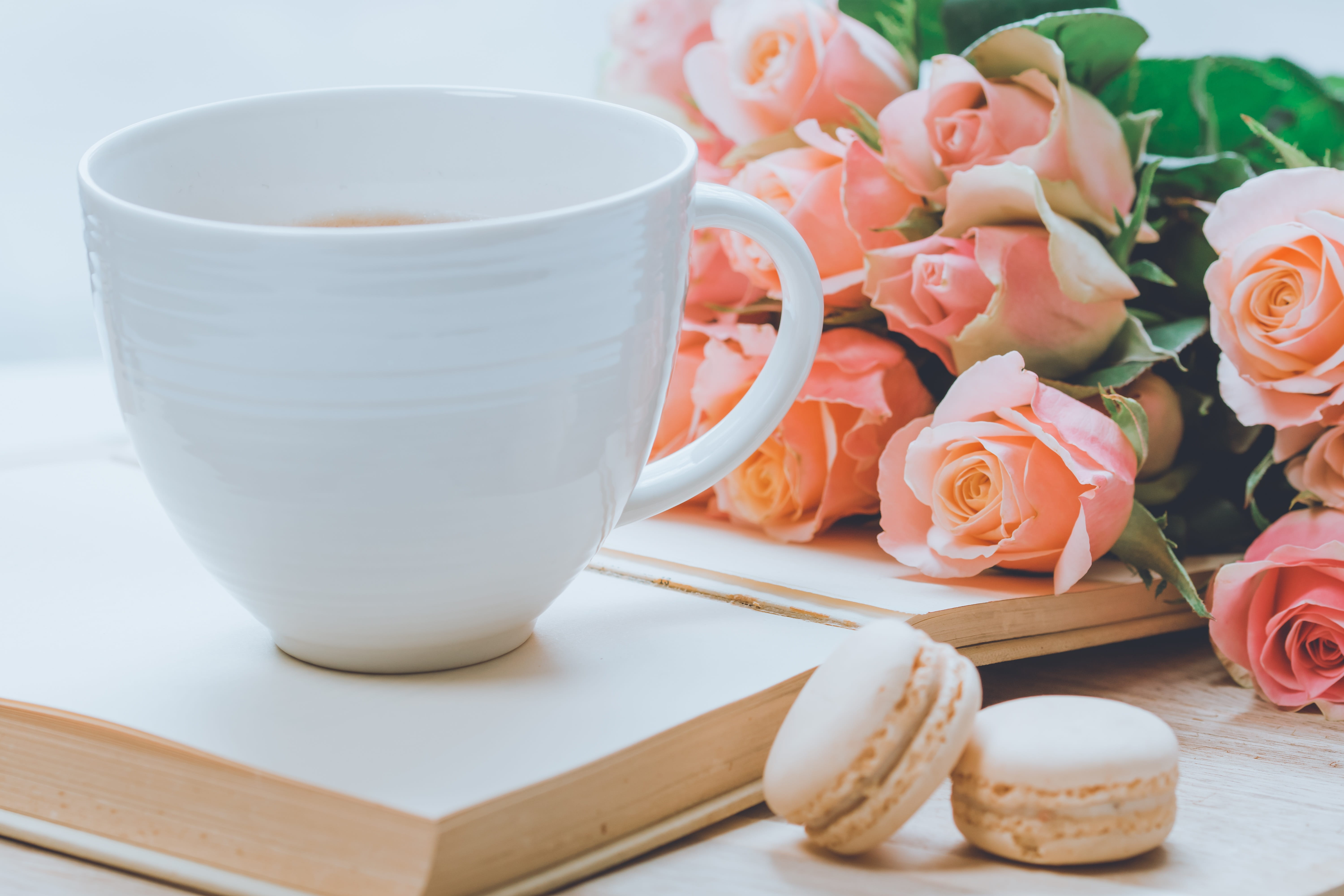 woman, flowering plant, morning, cookies, romantic, caffeine, background, drink, table, coffee, close-up, 5K, freshness, macarons, book, food and drink, HD Wallpaper
