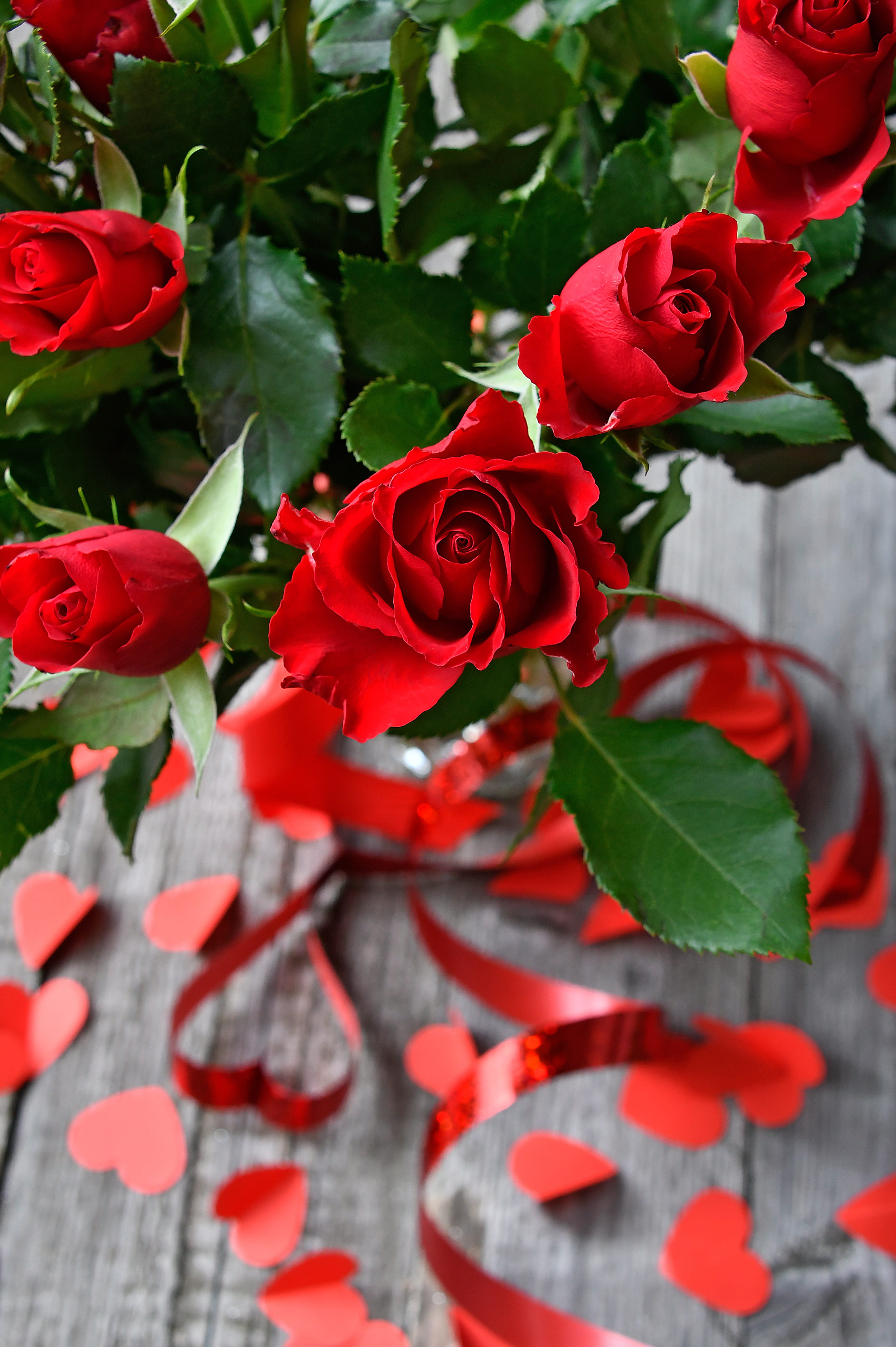 romance, romantic, freshness, beautiful, outdoors, flowers, bouquet, flowering plant, bunch of flowers, rose - flower, holiday, close-up, symbol, loving, Phone HD Wallpaper