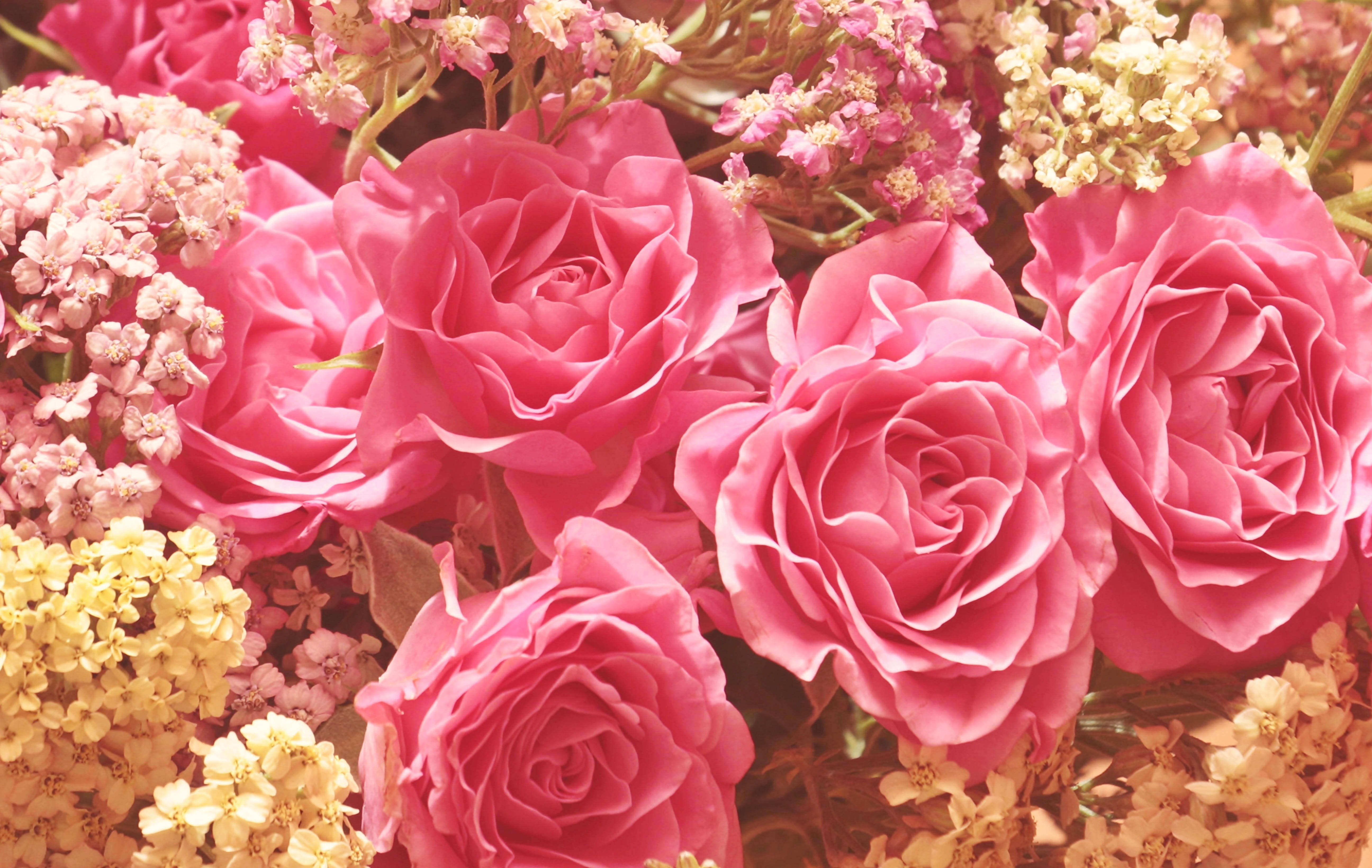 roses, flower arrangement, noble roses, romantic, day, floral greeting, flower head, vulnerability, greeting card, flowering plant, 5K, background, pink color, HD Wallpaper