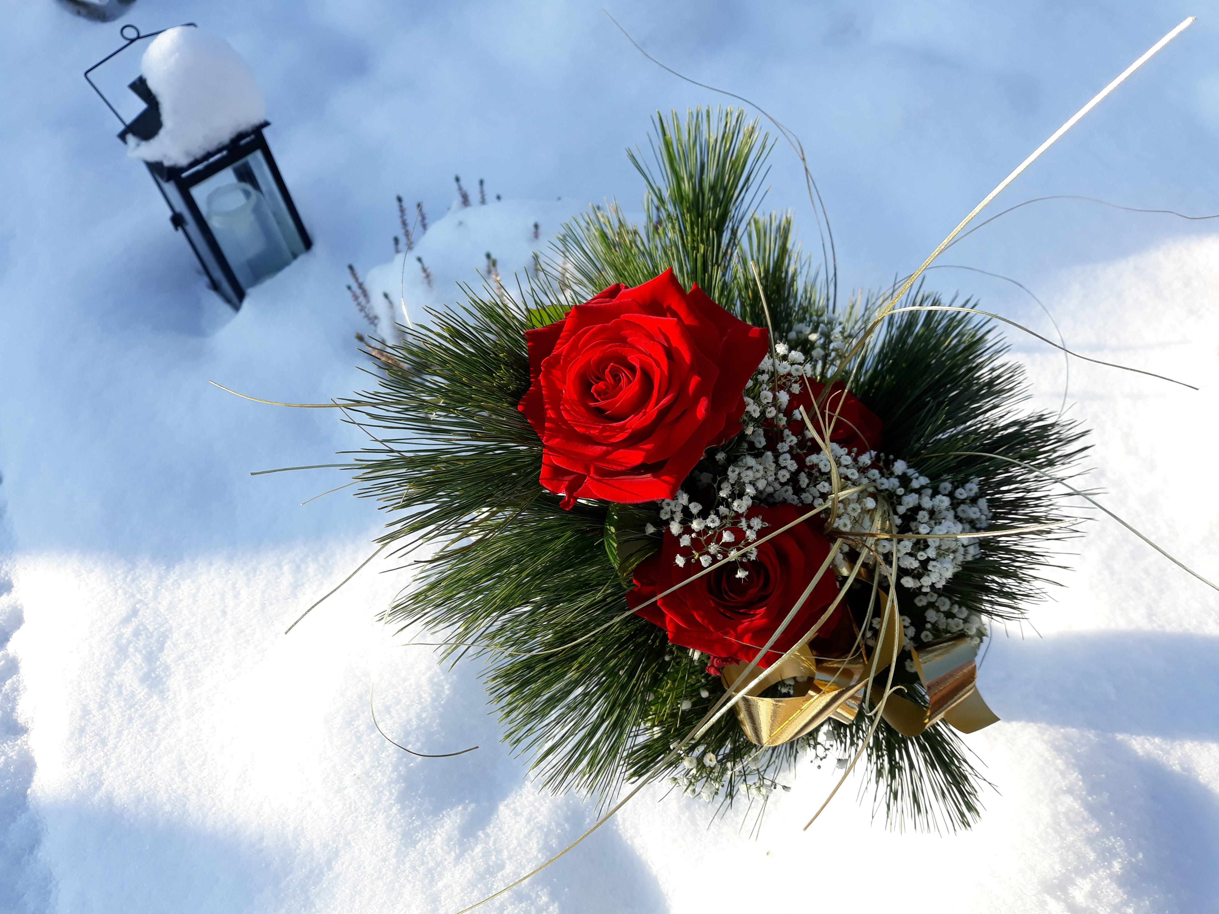 close-up, holiday, idyll, no people, rose, tree, nature, outdoors, flower arrangement, bouquet, flowers, flower head, snow, day, lantern, plant, flower, HD Wallpaper