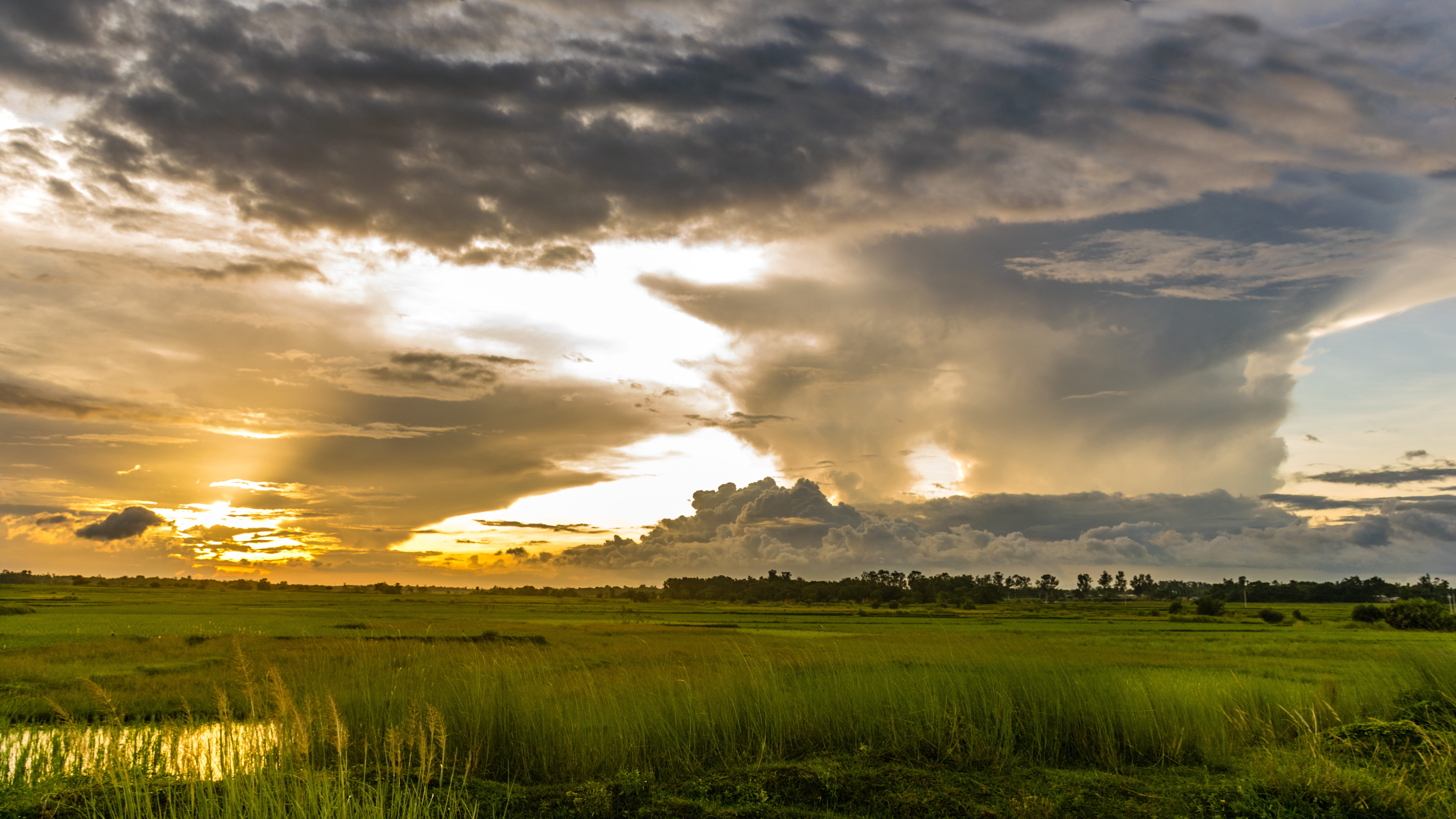 rain, goodweather, environment, bright, cloud - sky, instasunny, landscape, sun, sky, plant, golden, sunset, summer, sunlight, dramatic sky, sunrays, scenics - nature, HD Wallpaper