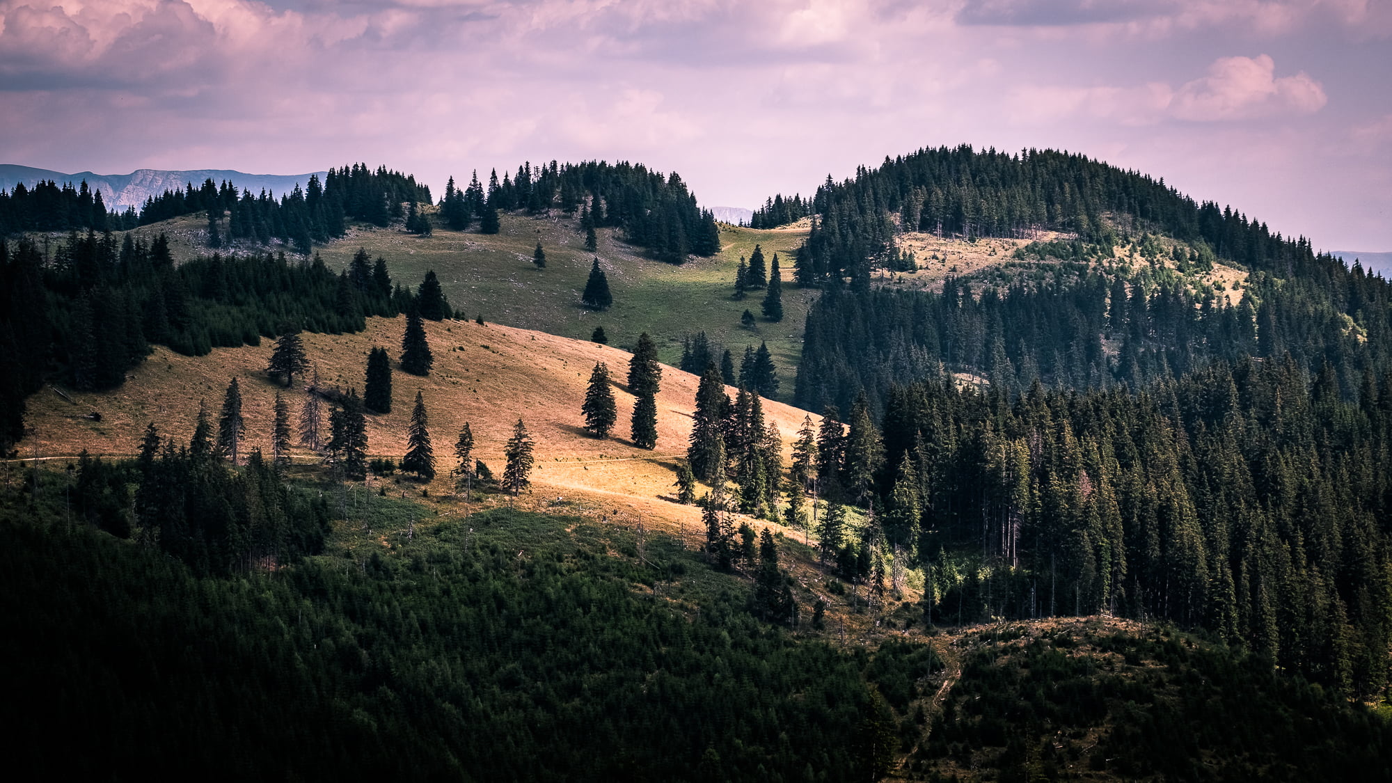 outdoor, clouds, scenics, outdoors, green, carpathians, nature, trees, Brașov, mountain, Moieciu, hiking, piatra  craiului, Southern Carpathians, shadows, HD Wallpaper