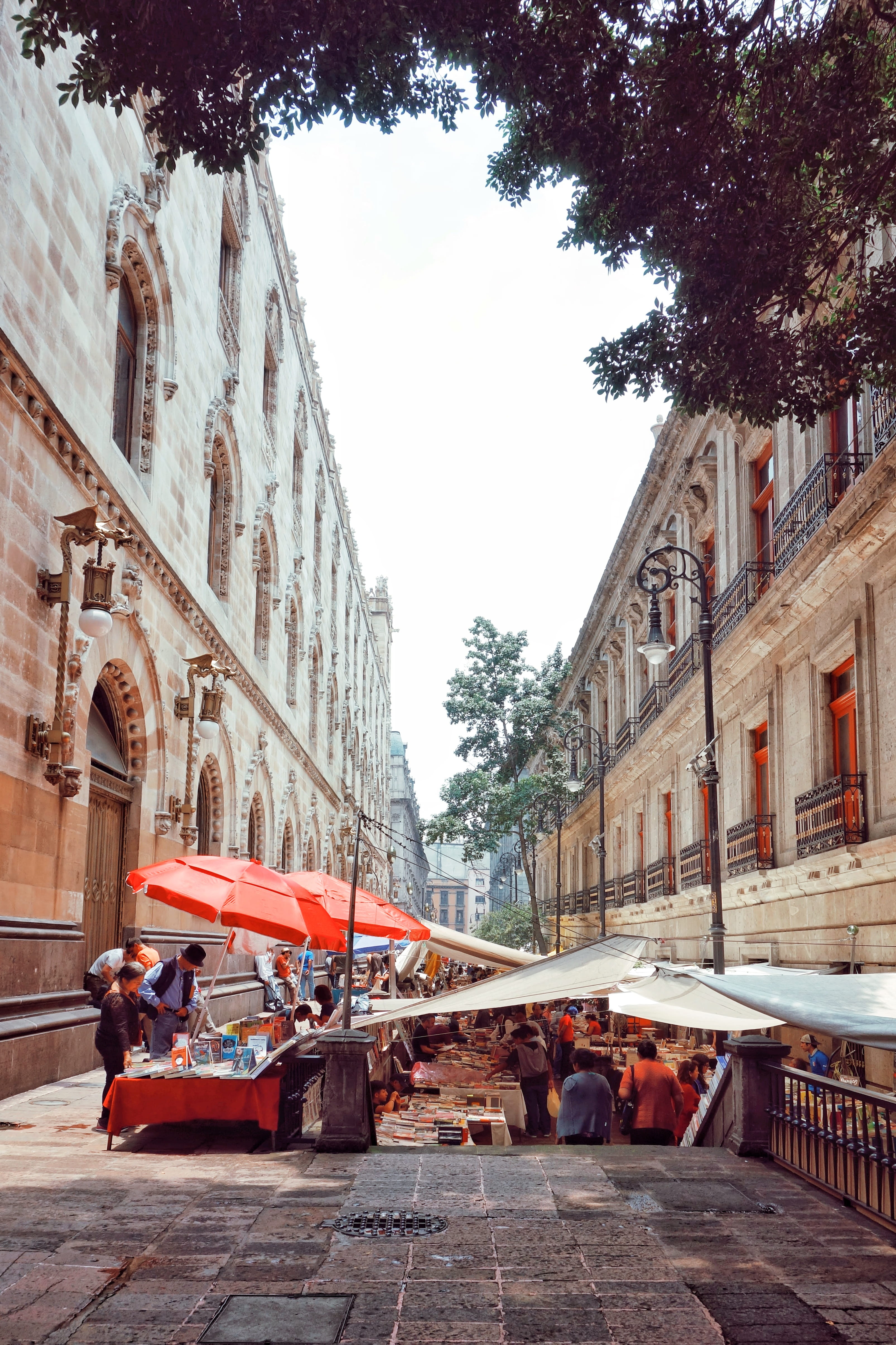 incidental people, city, street, group of people, books, street market, transportation, men, reading, tree, built structure, mode of transportation, building exterior, Phone HD Wallpaper