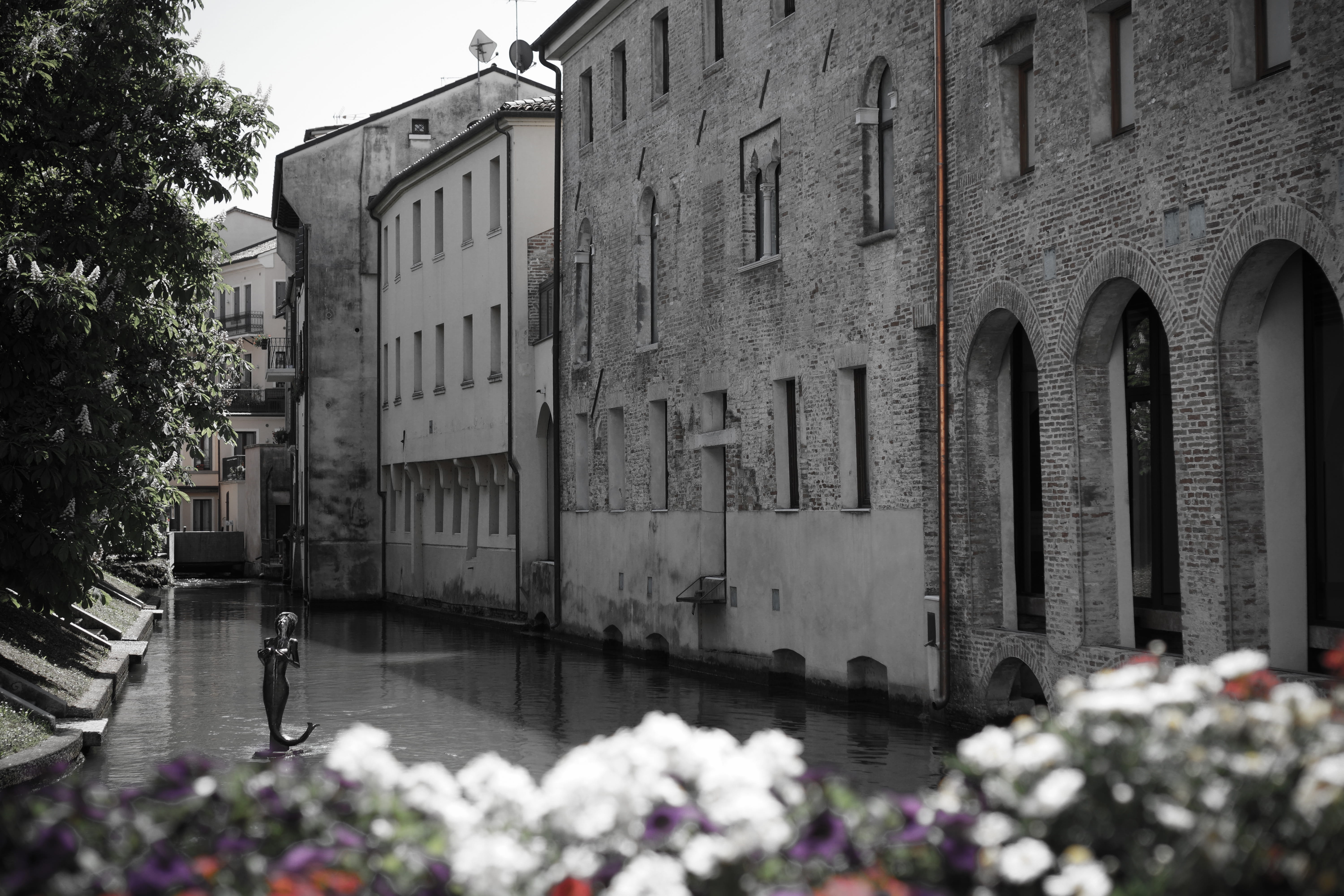 residential district, canals, flowers, flower, italian, no people, tree, greens, old, canal, built structure, plant, nature, window, flowering plant, buildings, HD Wallpaper