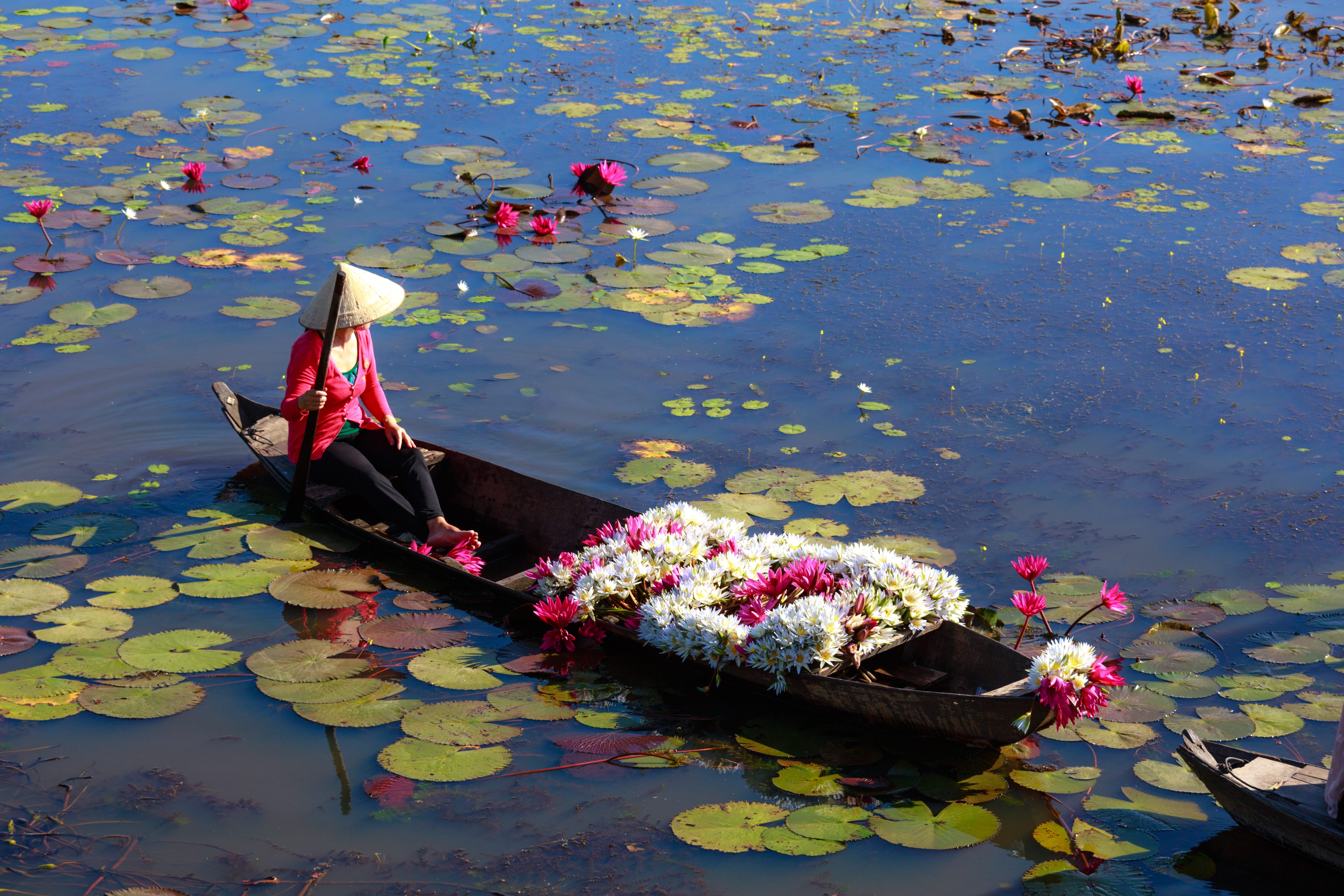 color, the row, paddle, day, beauty in nature, natural, green, black, sit, farmer, the boat, ditch, throat, water, wooden, floating on water, outdoors, HD Wallpaper