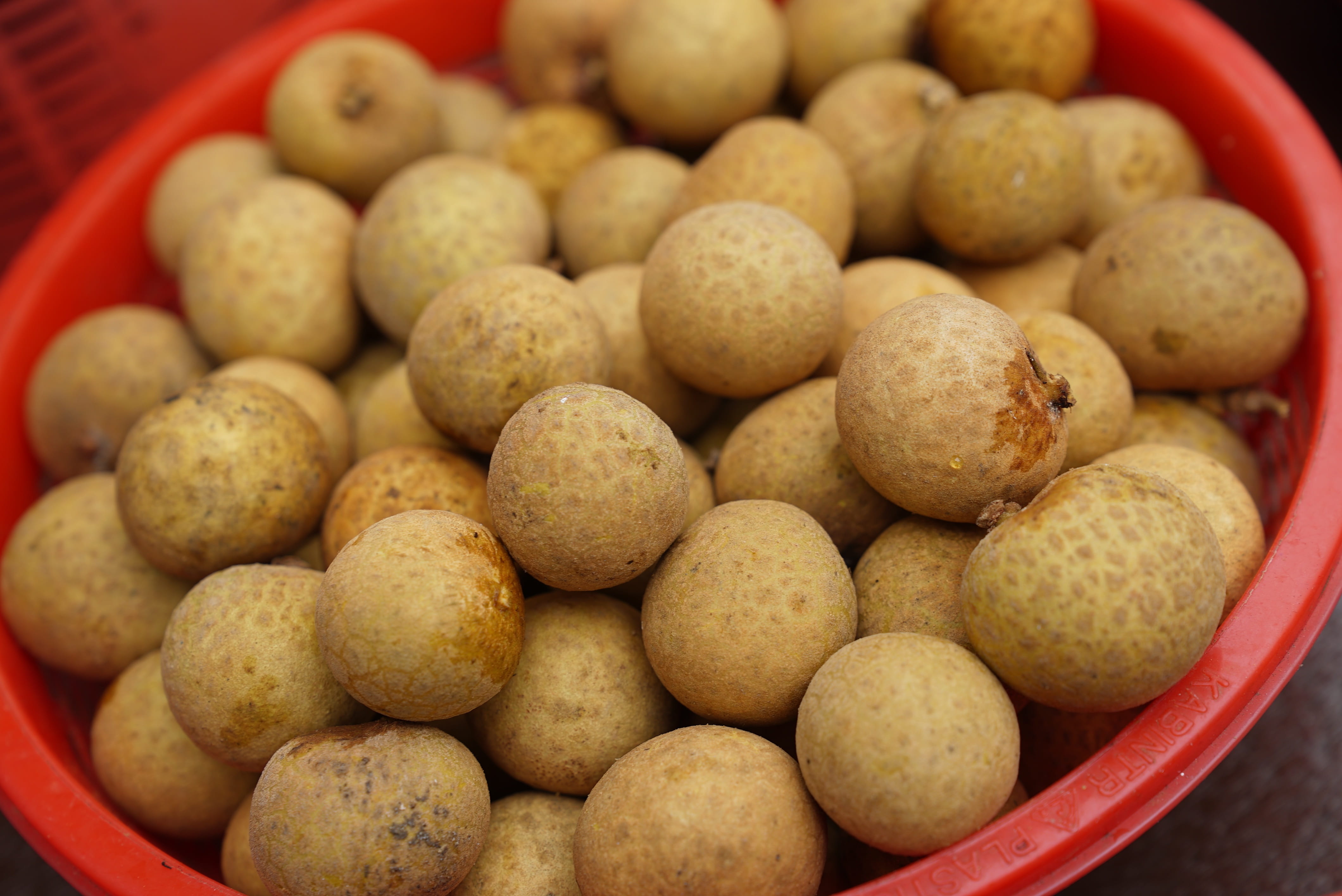 tropical fruit, retail, duku langsat, malaysian, indian food, no people, red, snack, food and drink, potato, exotic, asian food, large group of objects, HD Wallpaper