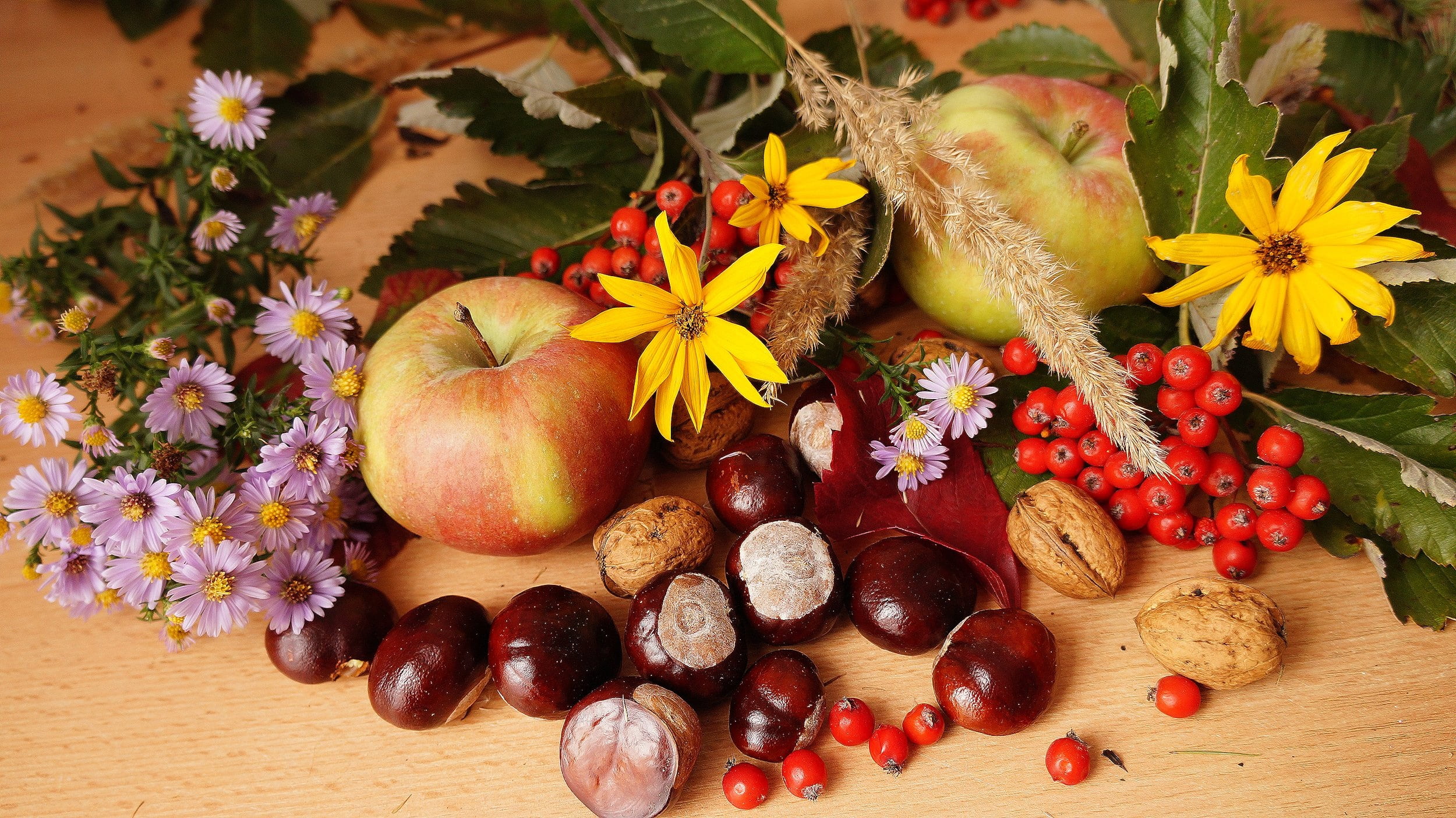 rowan, flower head, fruits, apples, food and drink, table, season, flowering plant, nature, chestnuts, sunflower, autumn, no people, plants, backgrounds, HD Wallpaper