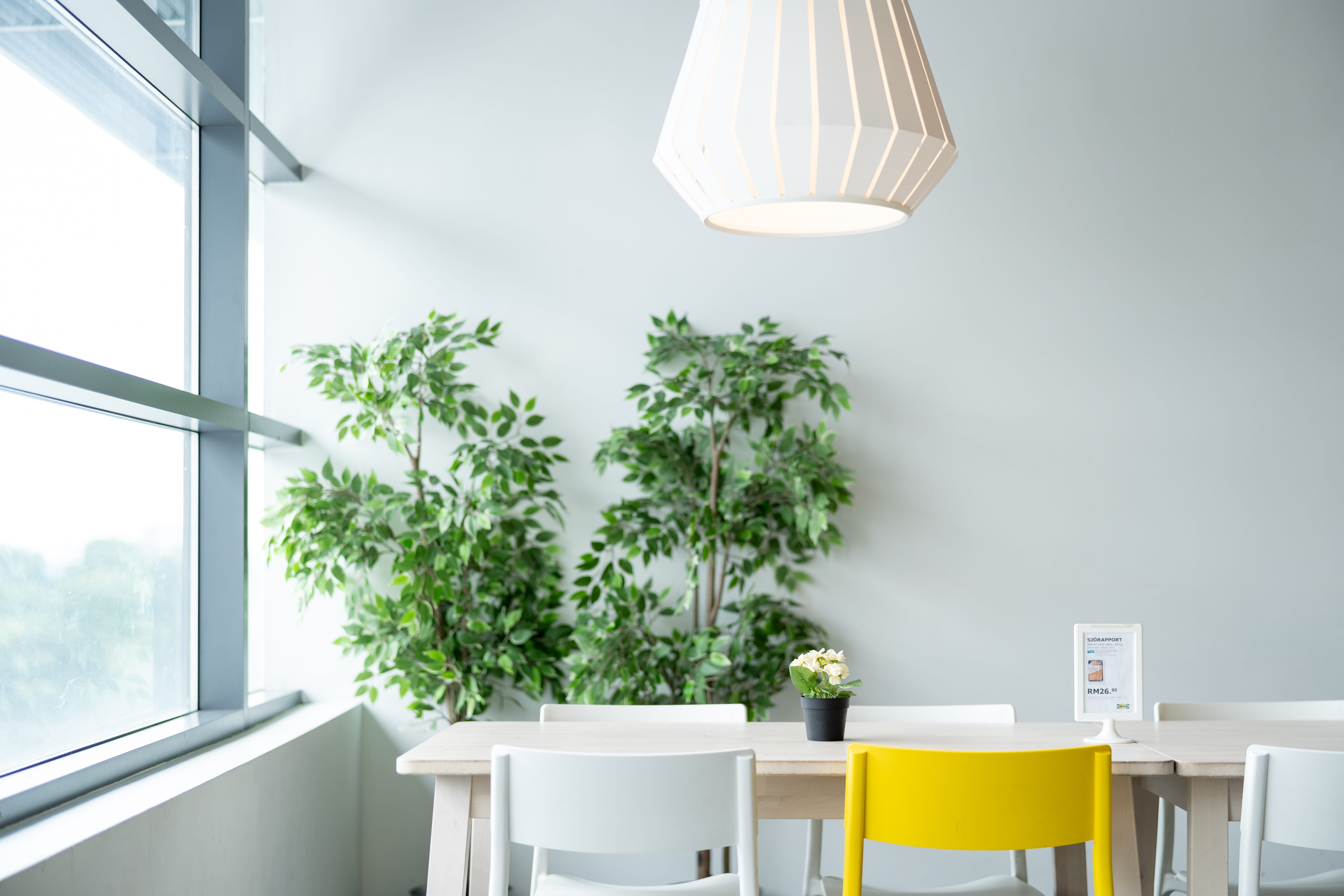 day, electric lamp, white, ikea, indoors, furniture, growth, home interior, natural, nature, living, chair, window, live, 5K, life, lamp, no people, houseplant, HD Wallpaper