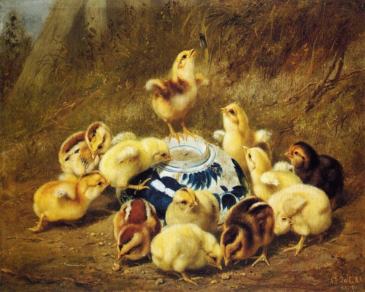 chicken - bird, livestock, group of animals, high angle view, duck, morning, chickens, no people, duckling, young animal, animal wildlife, vertebrate, domestic animals, HD Wallpaper