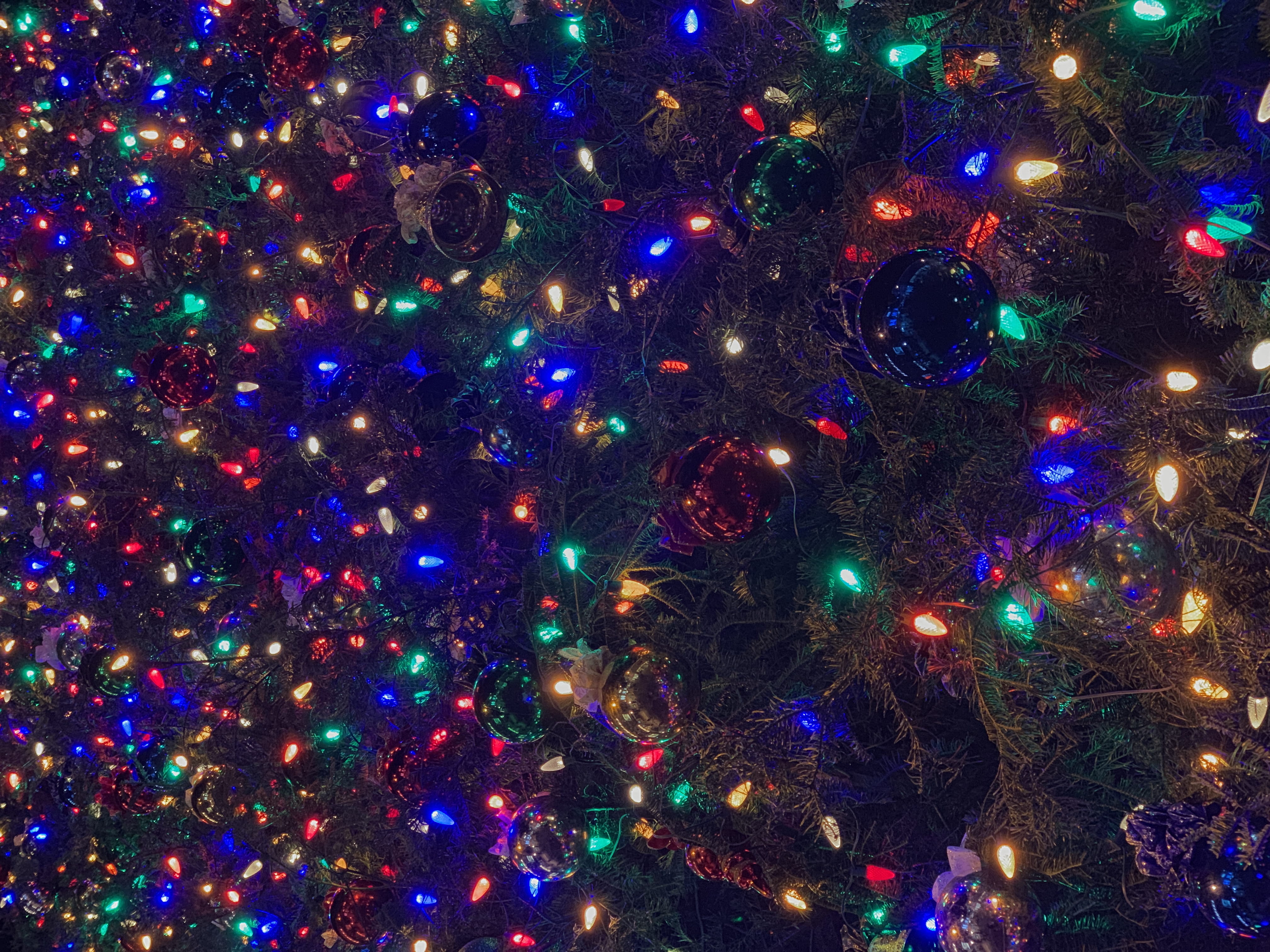 multi colored, backgrounds, holiday, christmas lights, 460 citadel dr, full frame, christmas, decoration, celebration, holiday - event, christmas decoration, HD Wallpaper