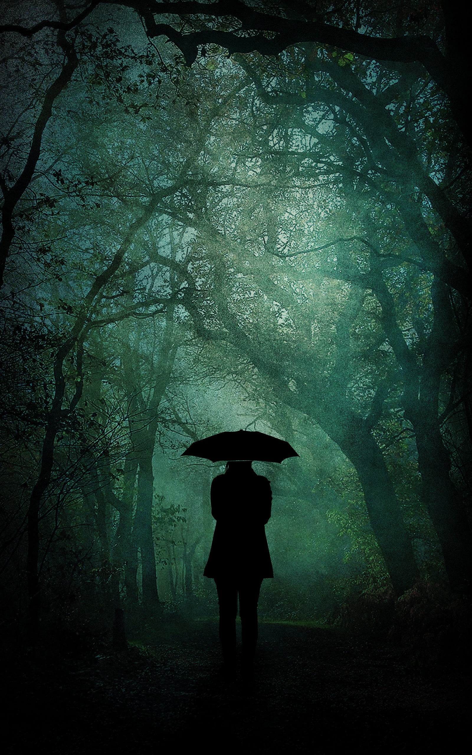 woodland, black, tree, one person, wet, security, holding, real people, standing, waiting, forest, rainy season, silhouette, nature, solitude, land, adult, Phone HD Wallpaper