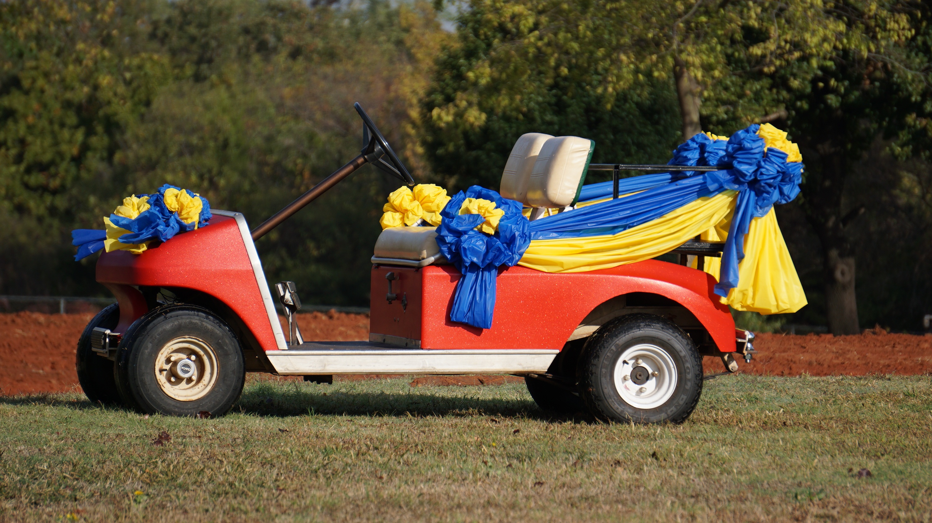 outdoors, wedding car, in addition to the house, flowering plant, pick-up truck, focus on foreground, motor vehicle, multi colored, yellow, land, flower, HD Wallpaper