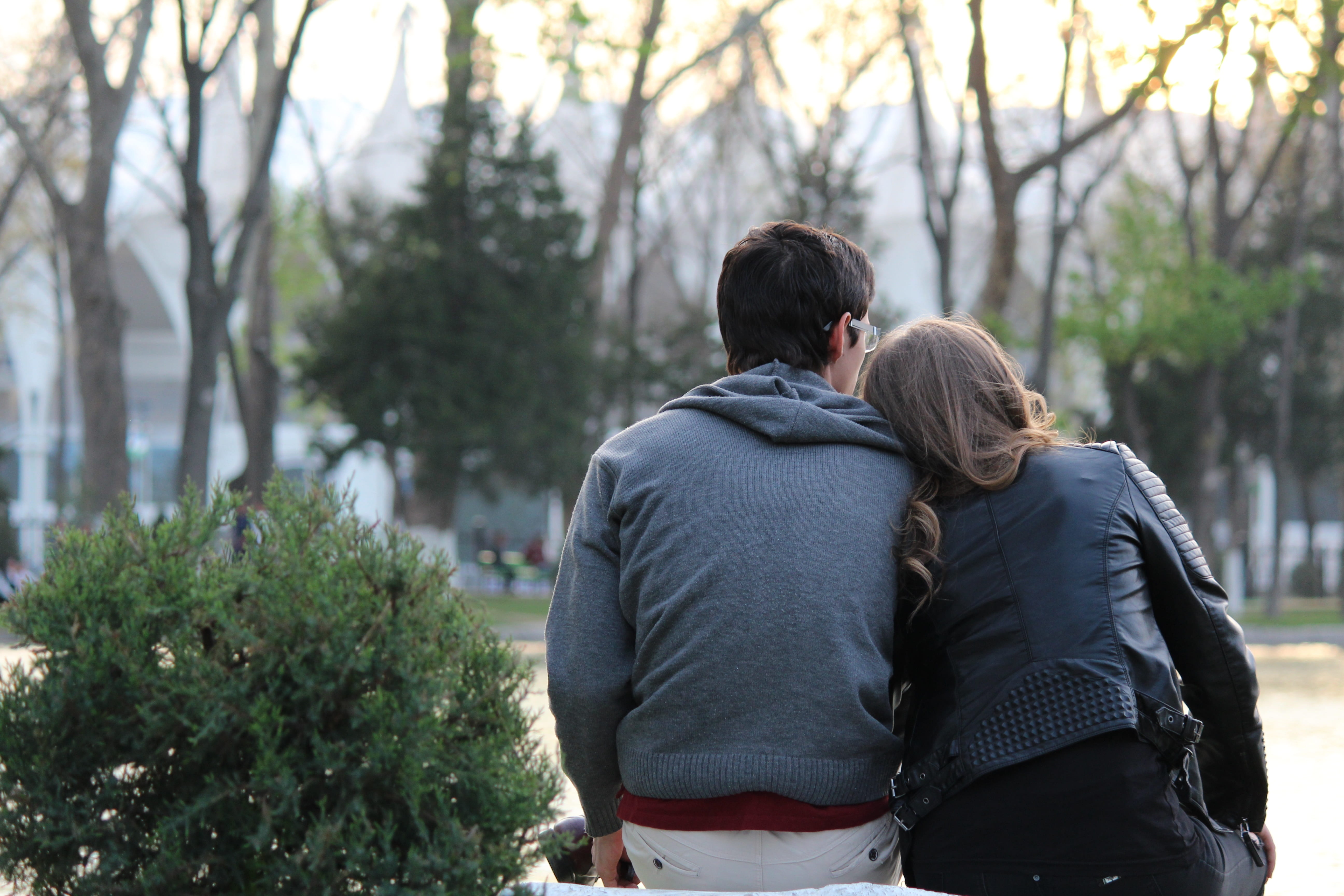 tree, care, park, adult, girl, bonding, woman, men, women, anitanola, rear view, leisure activity, two people, focus on foreground, love, leaning, togetherness, HD Wallpaper