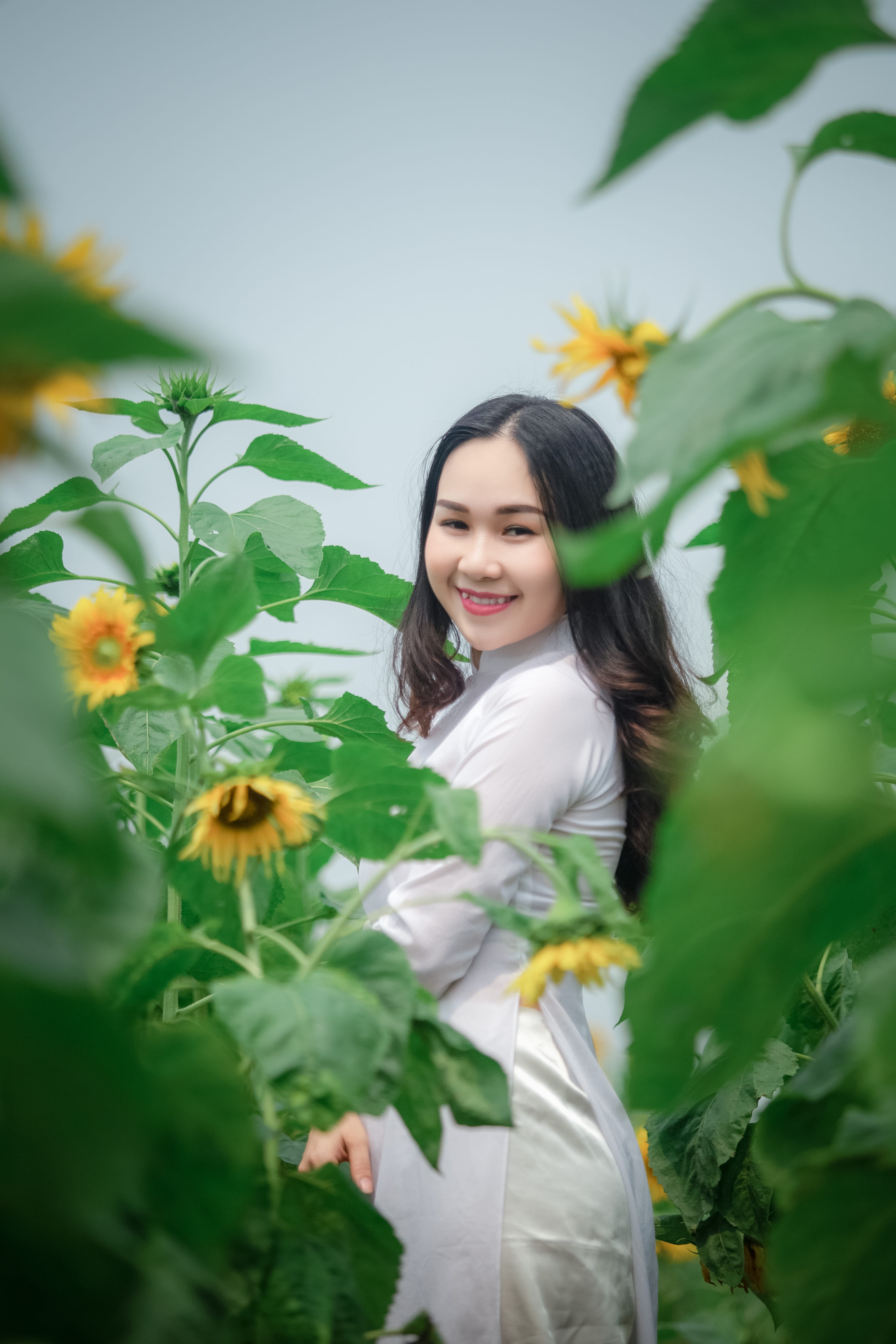 beautiful woman, three quarter length, field, plant, long hair, standing, photoshoot, young women, white dress, fashion, hair, style, looking at camera, Phone HD Wallpaper