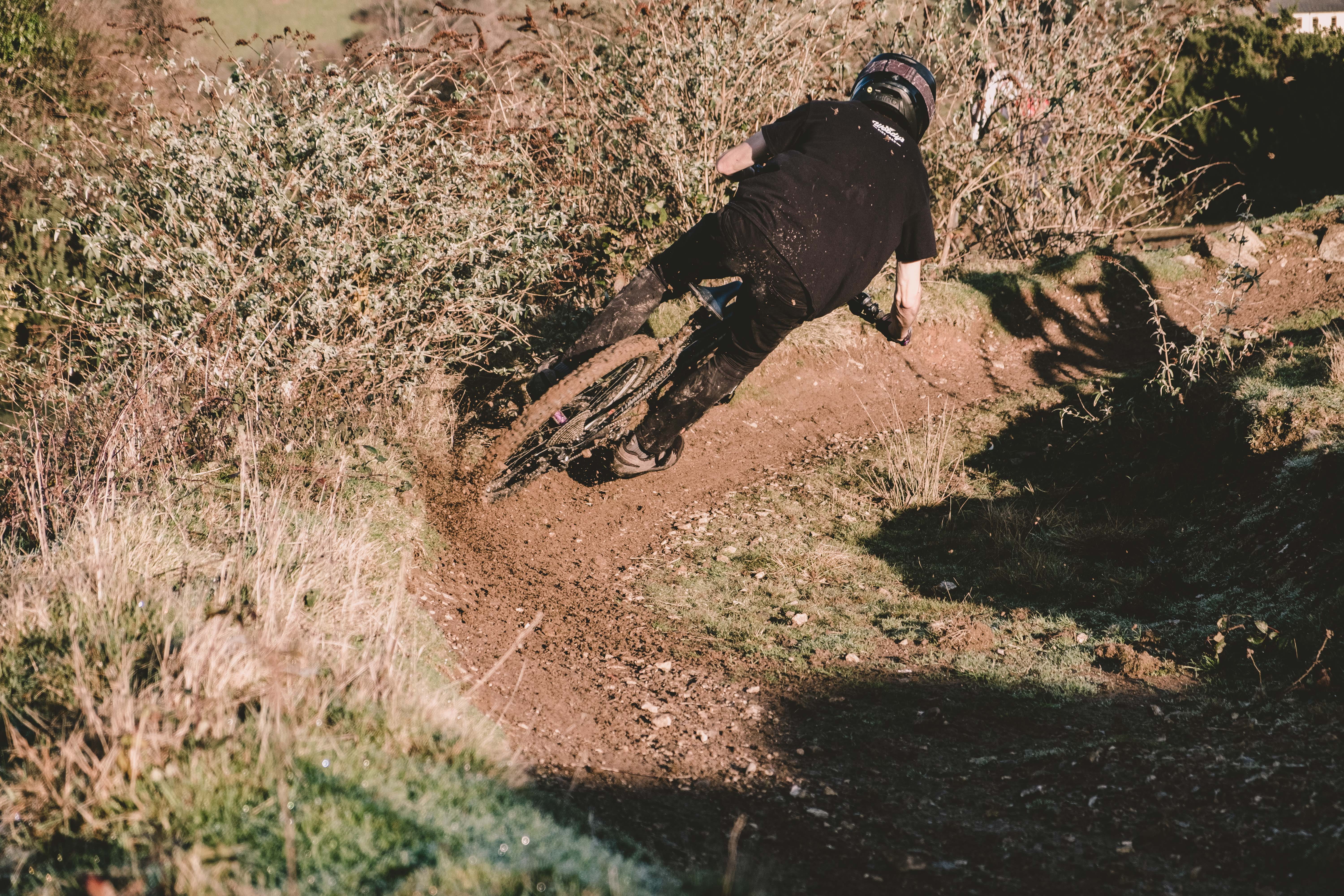 field, land, outdoors, mammal, sunlight, full length, skrt, nature, animals in the wild, animal themes, nos, day, animal, corner, grass, Mountain bike, HD Wallpaper