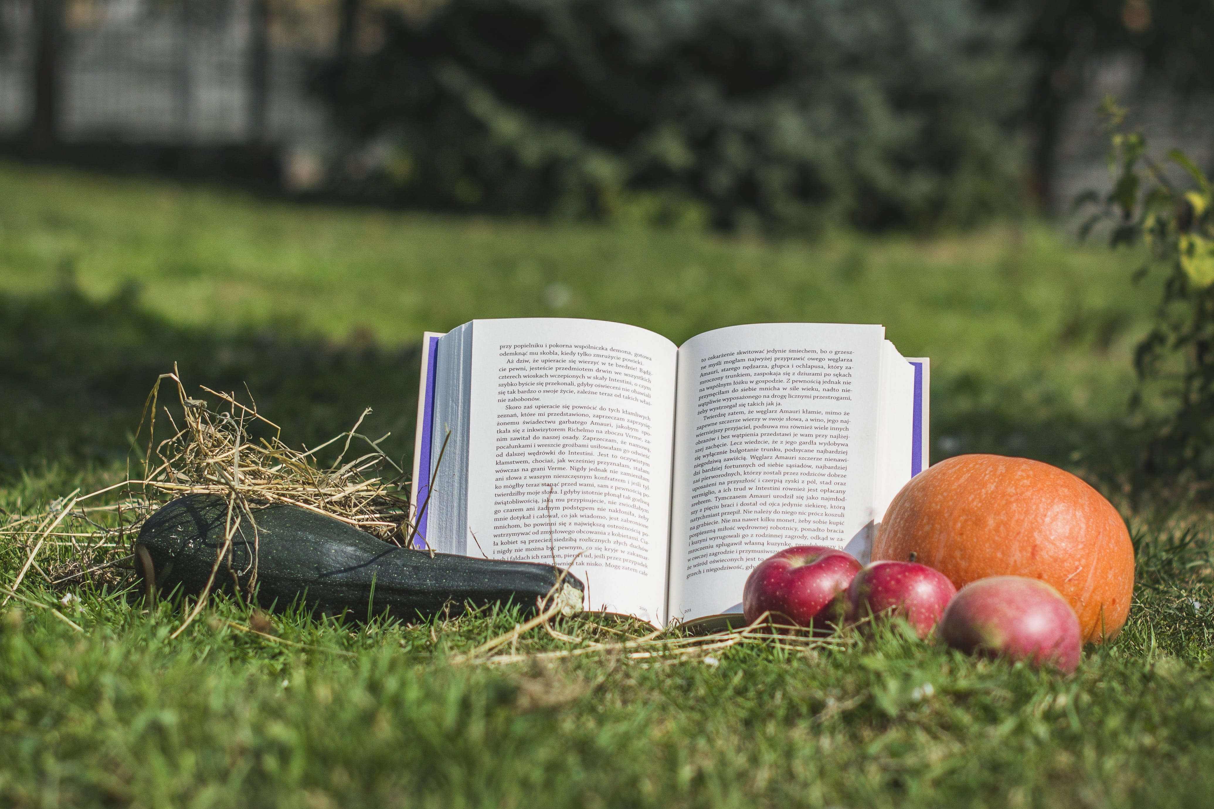 freshness, publication, plant, zucchini, land, hobby, green, 4K, village, book, wellbeing, literature, field, apples, nature, healthy eating, education, HD Wallpaper