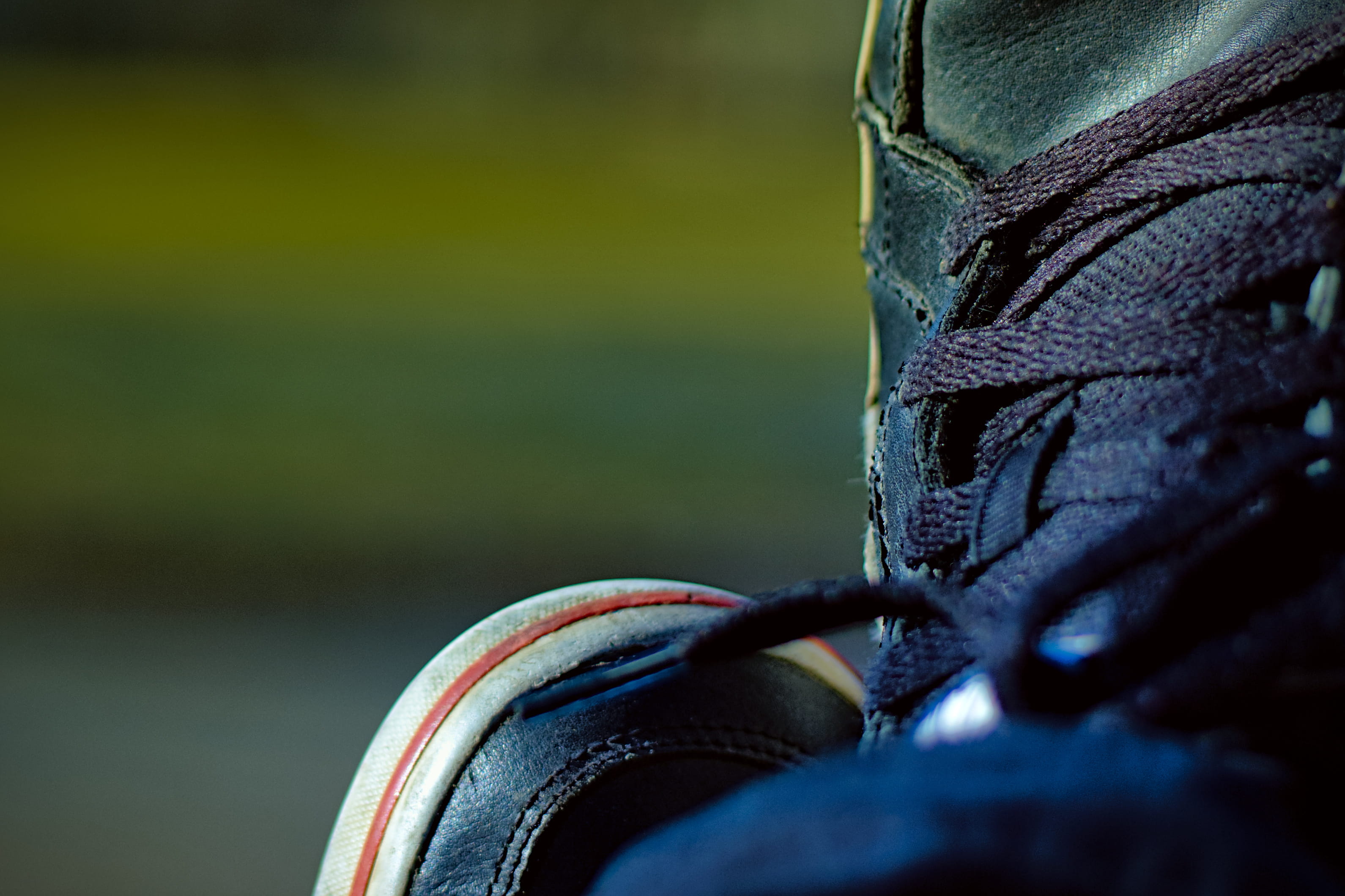 one animal, selective focus, animal, shoe, human, machine, person, alloy wheel, shoes, footwear, no people, water, focus on foreground, animal head, detail, HD Wallpaper
