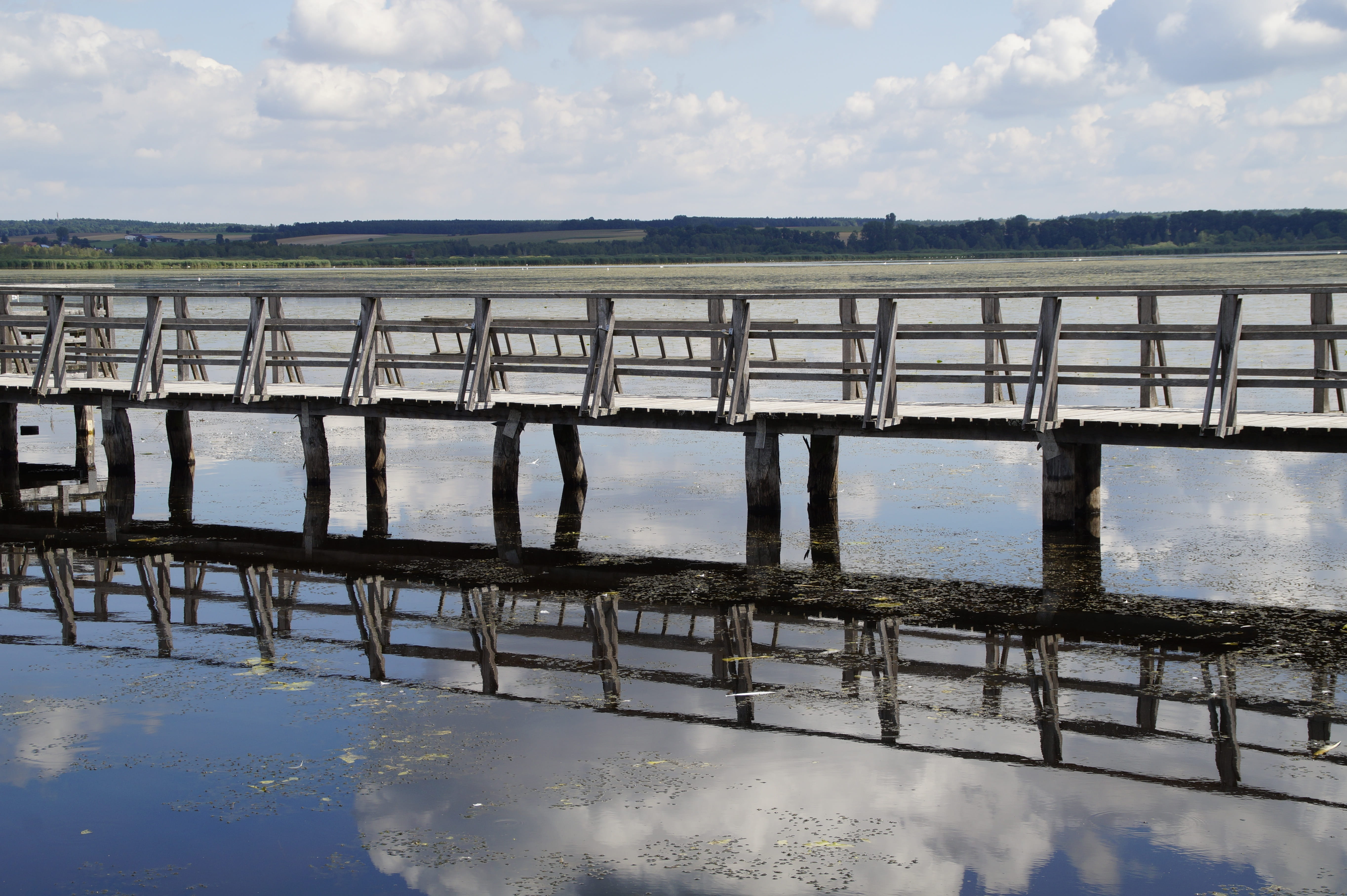 tranquil scene, nature conservation, outdoors, pier, clouds, mirroring, baden württemberg, day, railing, sky, summer landscape, grasses, summer, Spring Lake, HD Wallpaper