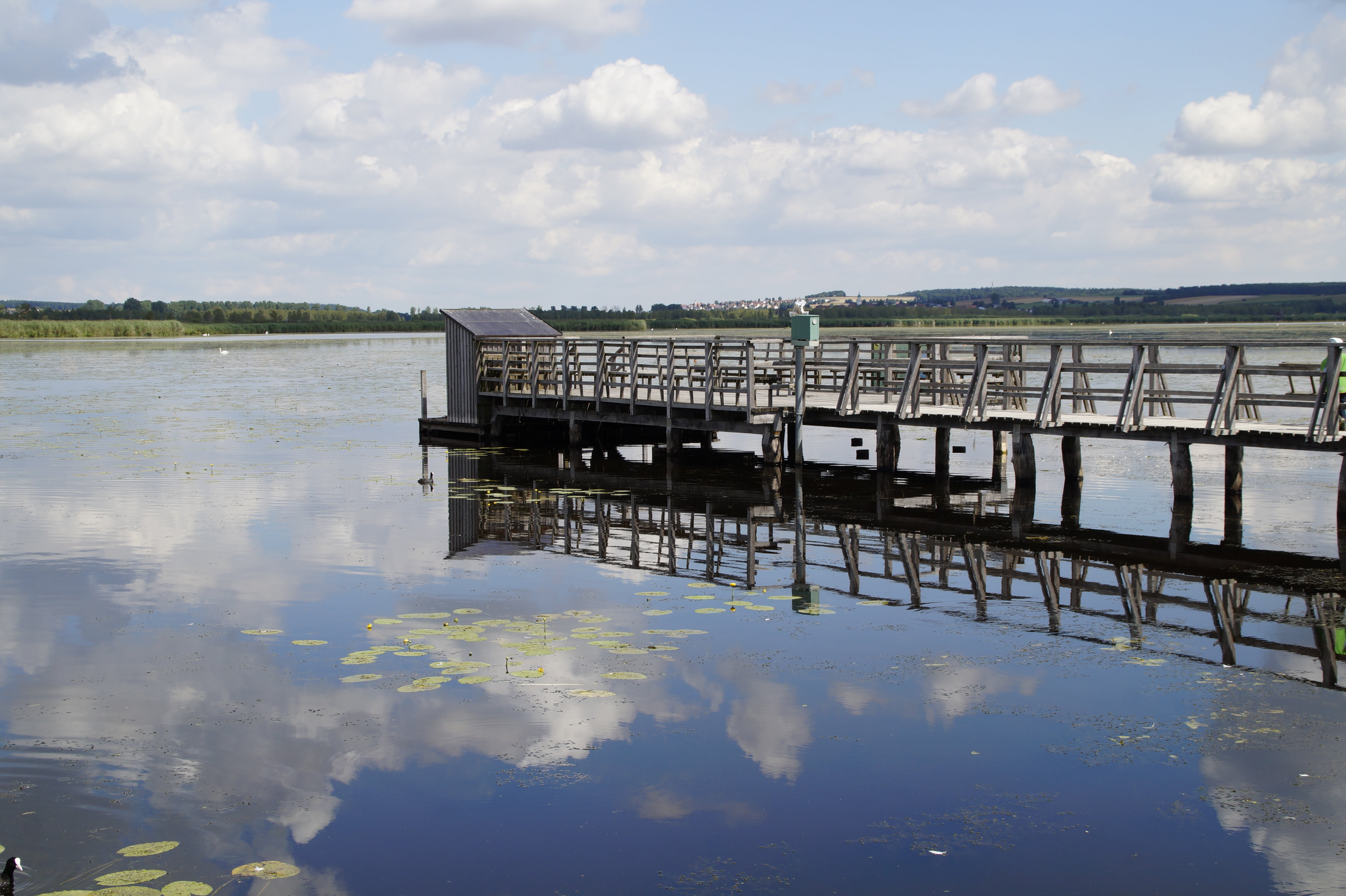 non-urban scene, waterfront, wetland, nature reserve, spring lake, web, summer, 5K, nature conservation, summer landscape, architecture, no people, beauty in nature, HD Wallpaper