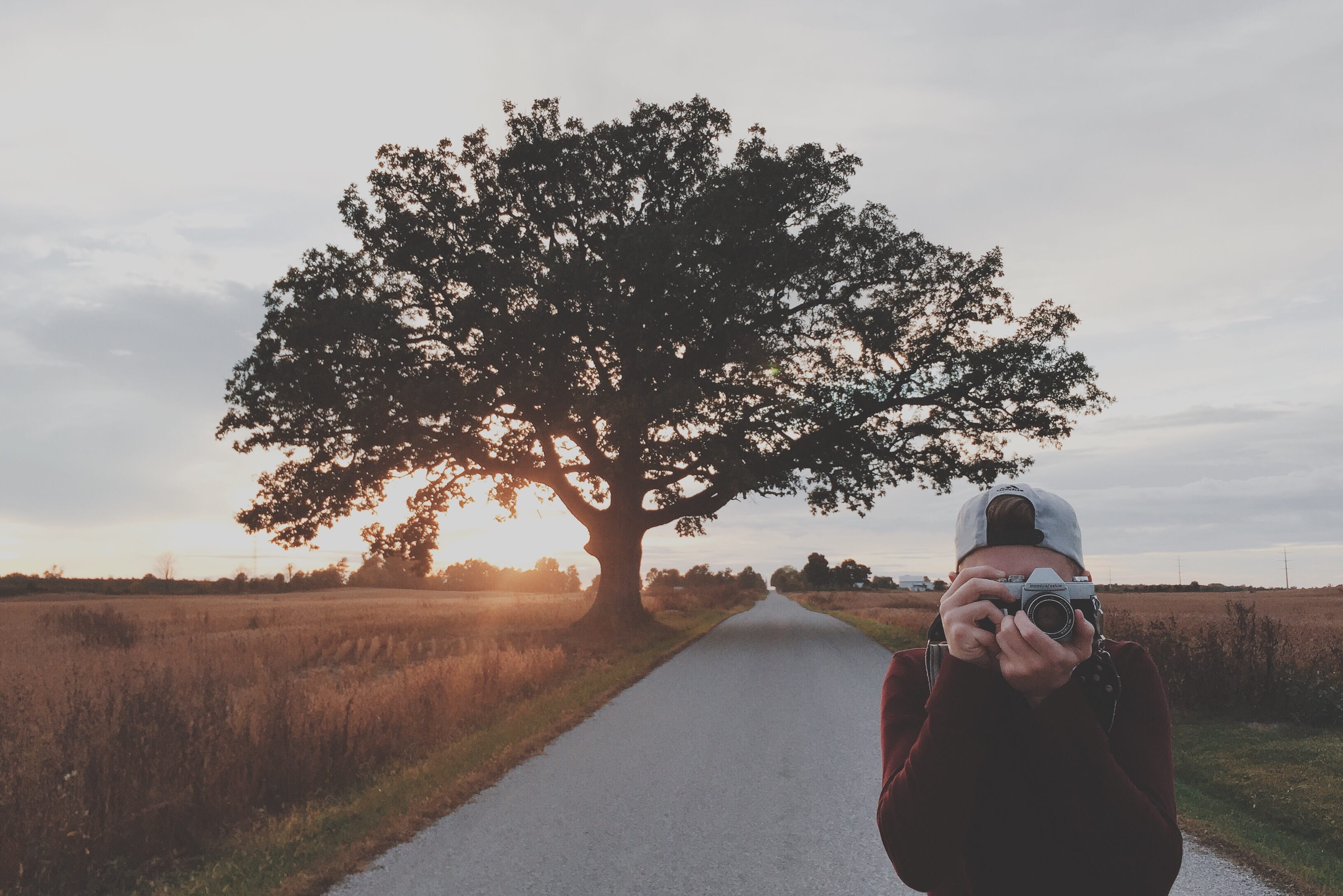 real people, transportation, cat, lifestyles, 2K, activity, nature, cap, land, women, camera - photographic equipment, one person, holding camera, sky, HD Wallpaper