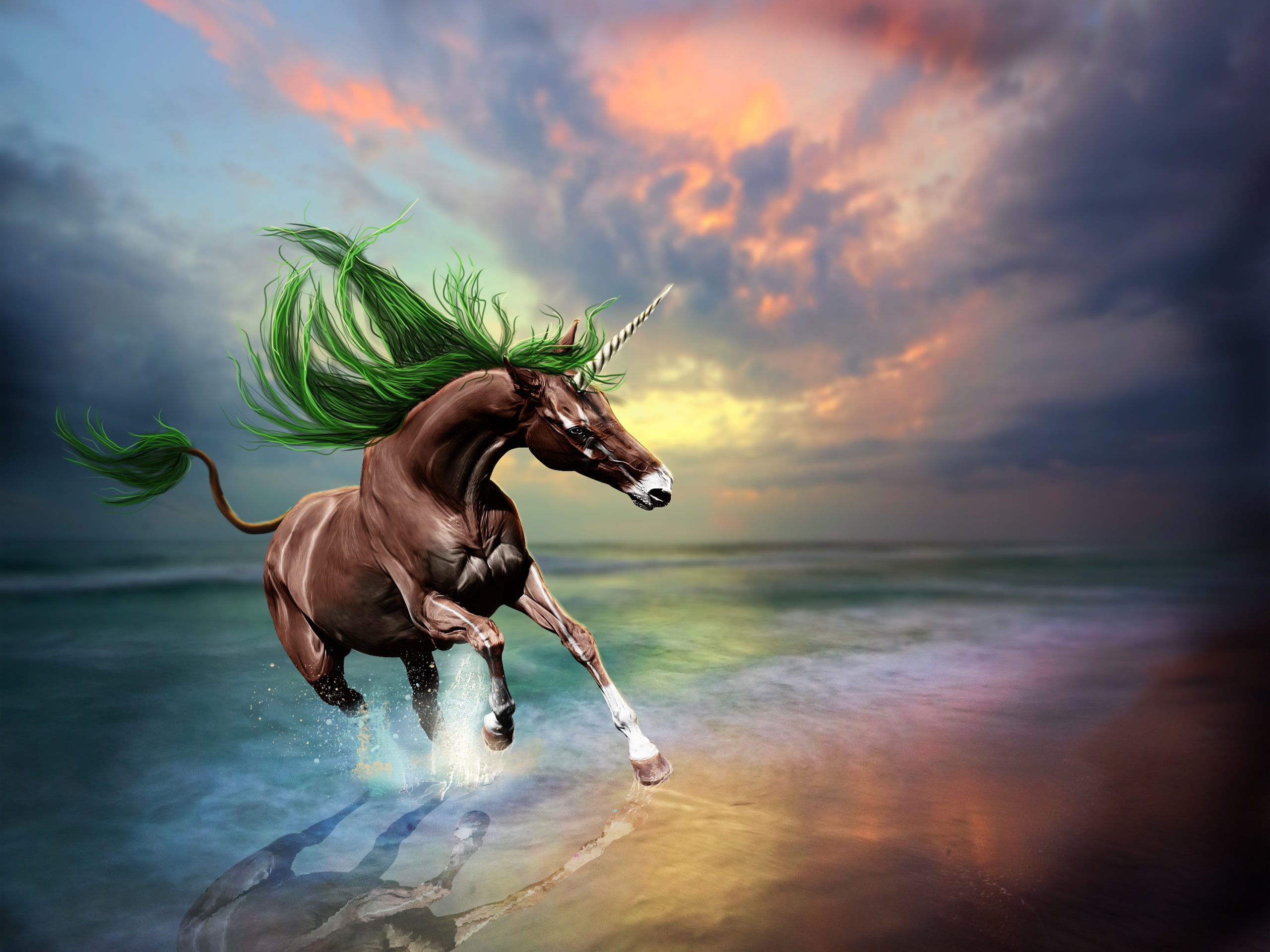 Brown, 2K, Unicorn, Creative, Design, Beach, Sunset, Pictures, HD Wallpaper