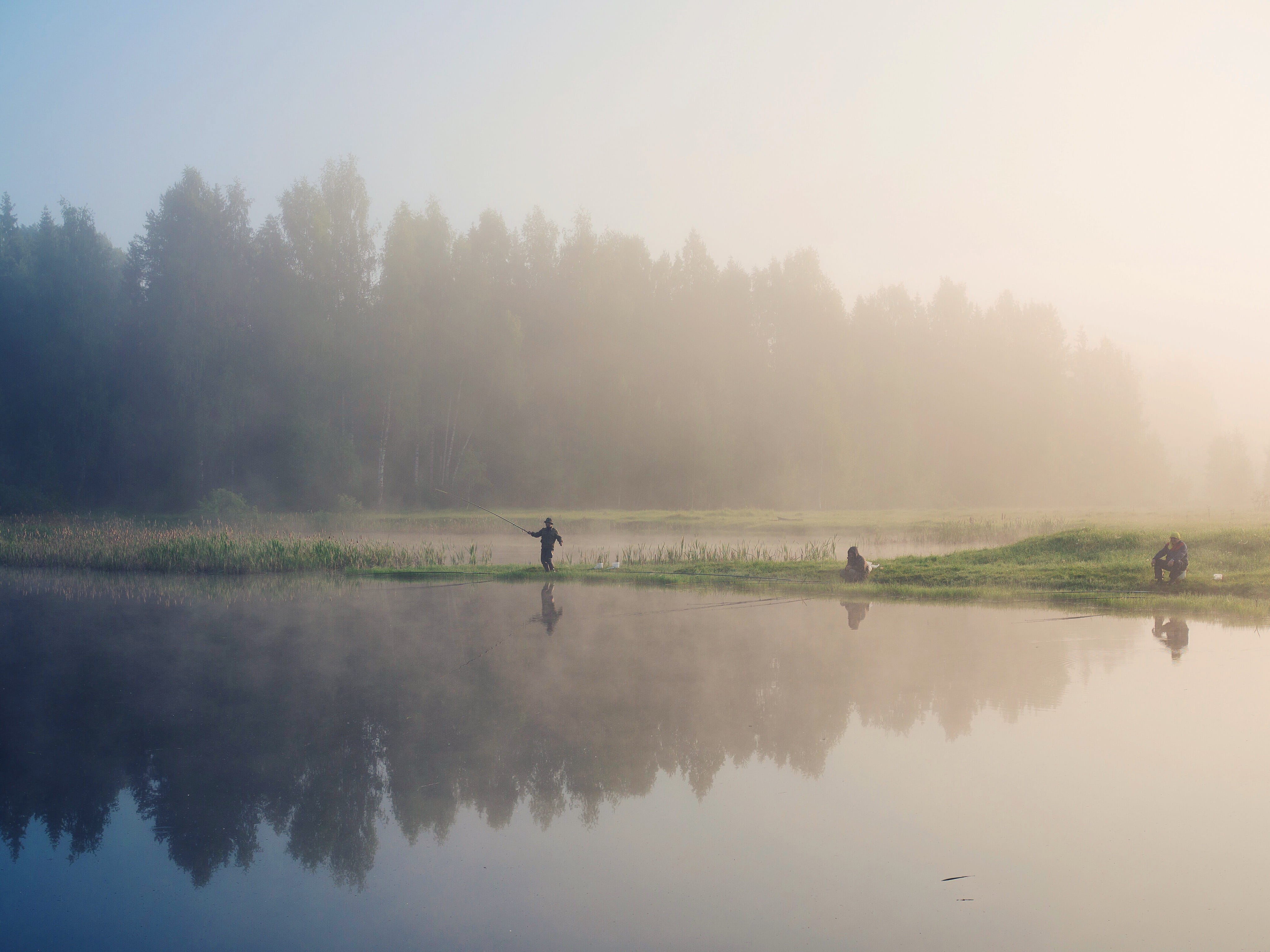 olympus, water, russia, waterfront, tranquil scene, tranquility, animal, nature, sunrise, reflection, plant, animal themes, non-urban scene, fog, outdoors, HD Wallpaper