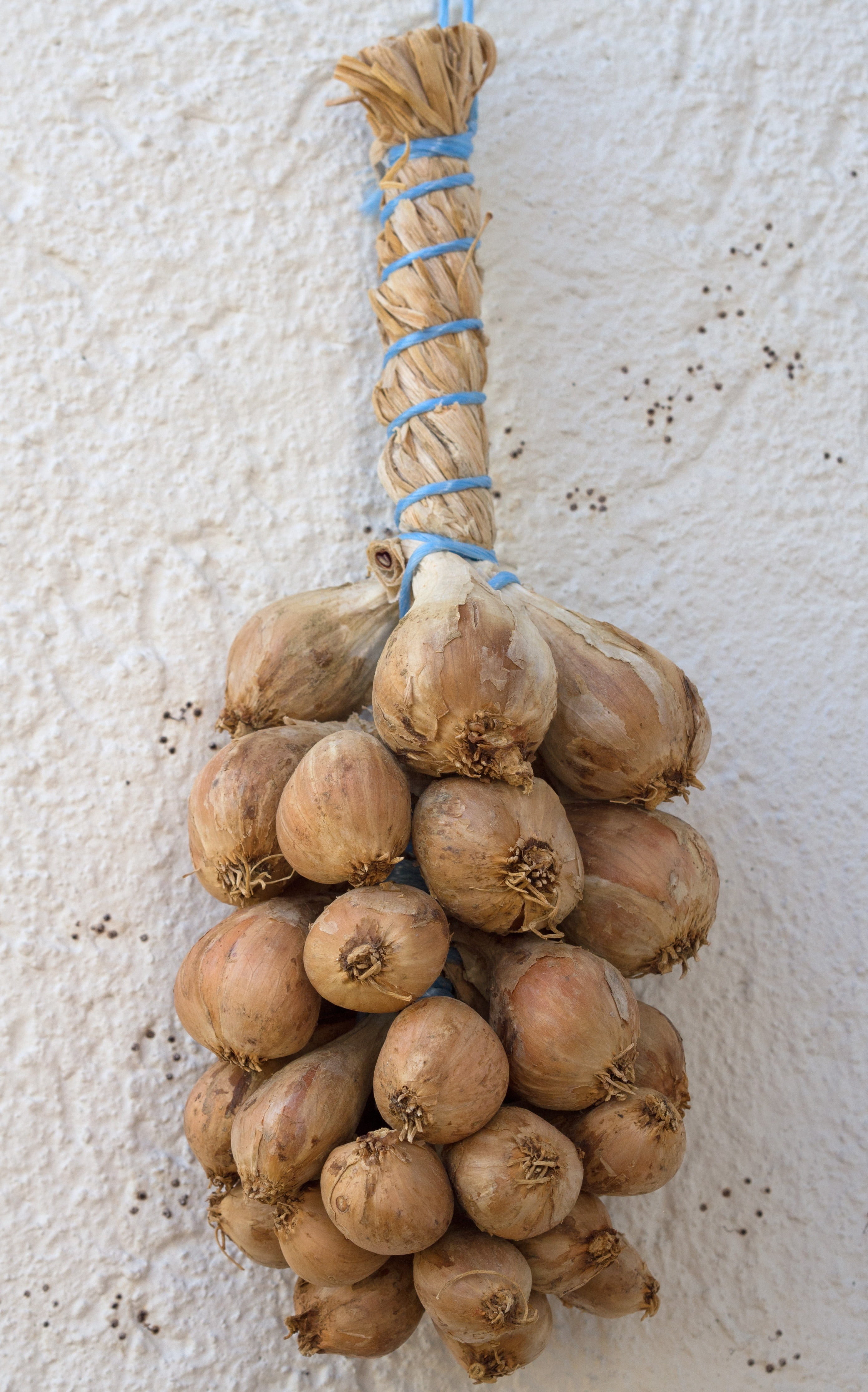 bunch, close-up, spice, freshness, onion, food and drink, vegetable, still life, plait, day, wellbeing, white color, garlic, 4K, brown, wall - building feature, Phone HD Wallpaper