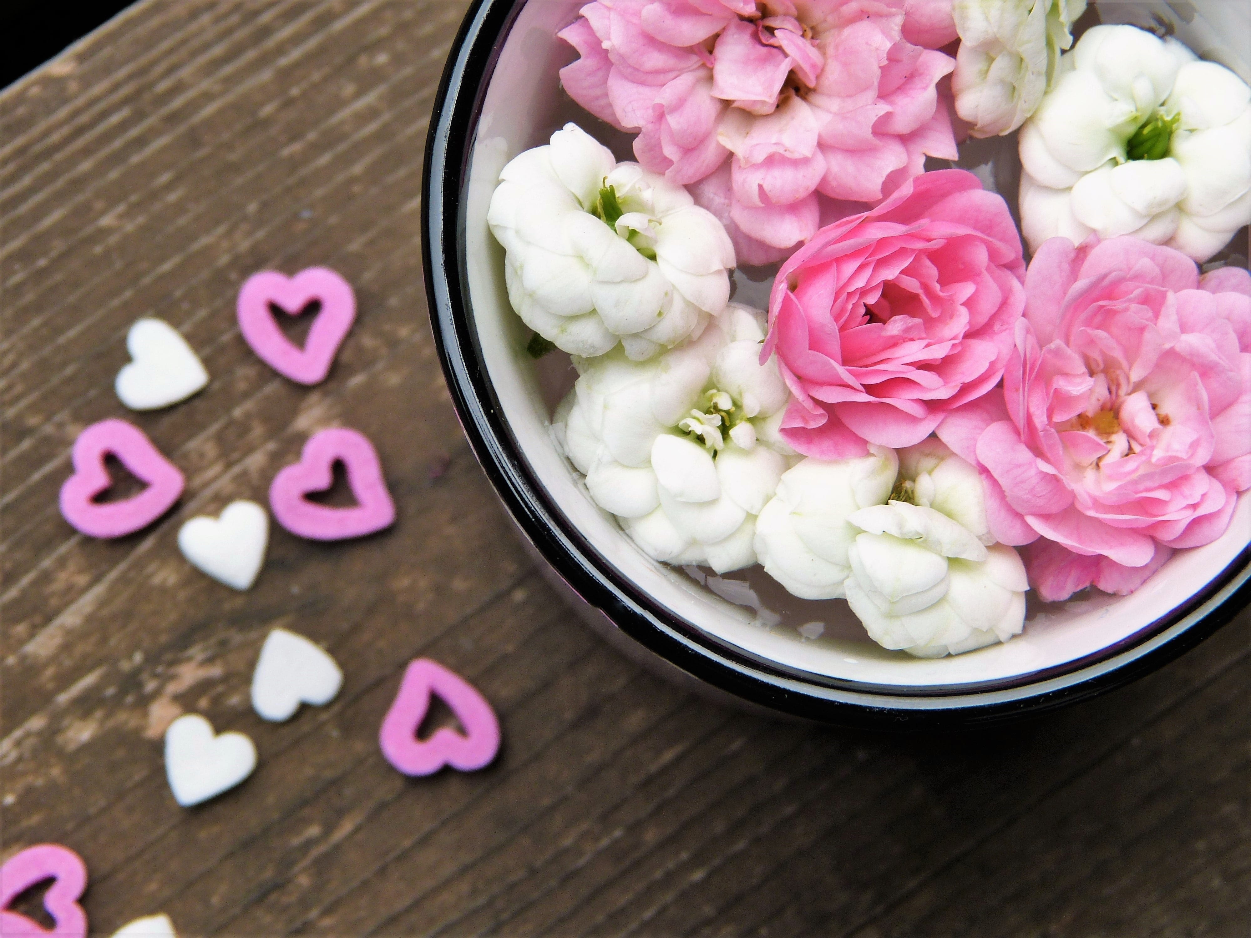 food, wood - material, wellbeing, flower arrangement, cup, purple, greeting, roses, pink color, high angle view, mothers day, wedding day, no people, indoors, HD Wallpaper