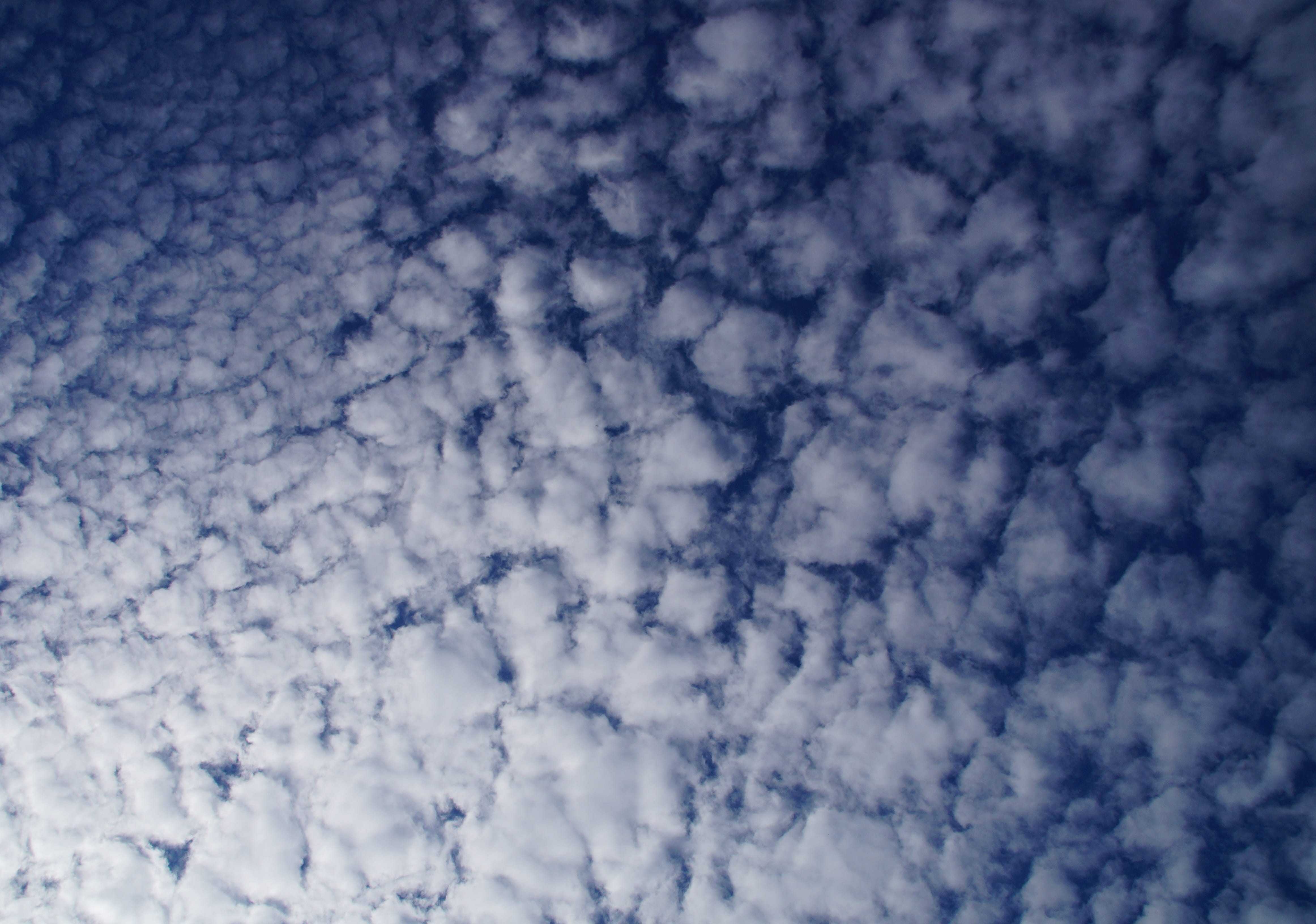 sommerfest, cloudy, fleecy, sunshine, clouds, nature, scenics - nature, low angle view, rays, full frame, meteorology, day, cloudscape, sky, outdoors, no people, HD Wallpaper