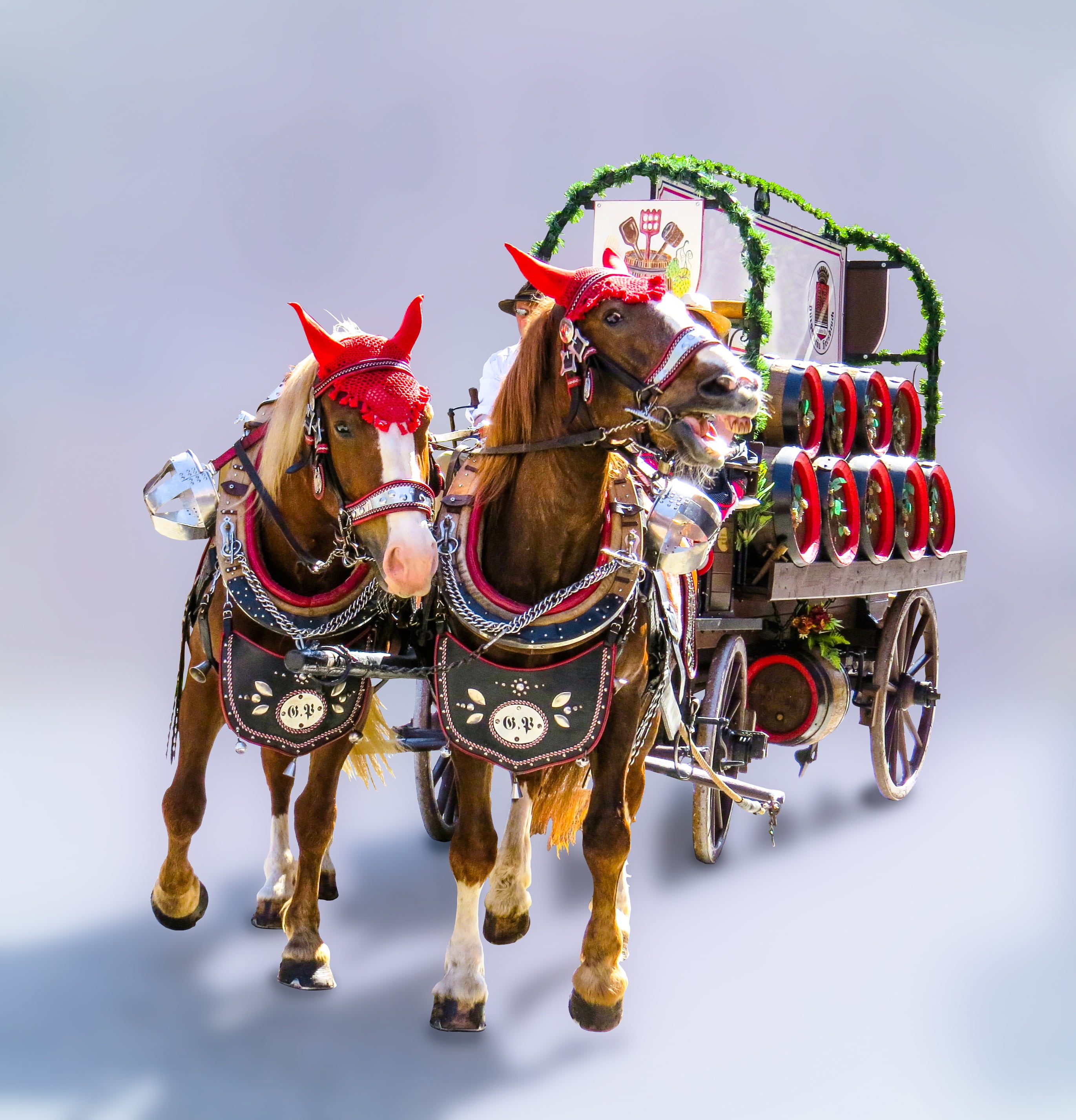 vertebrate, livestock, folk festival, transport, pets, beer carriage, barrel, scare, horse cart, domestic, domestic animals, bavaria, isolated, brown, party, Phone HD Wallpaper