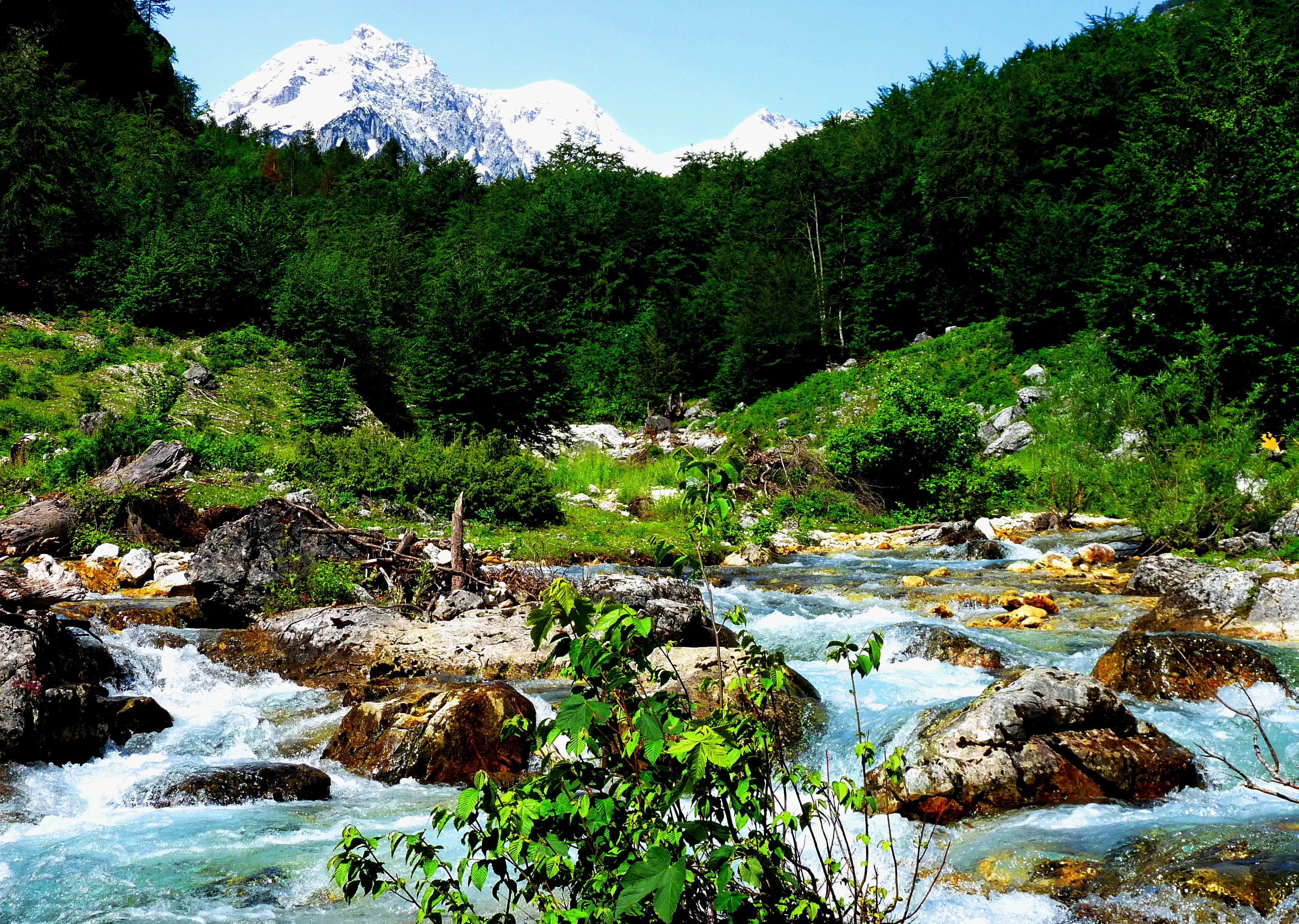 balkans, europe, landscape, 2K, stream, Albania, river, Valbona, colour, outdoors, forest, scenics, tourist, nature, blue  green, vivid, scenery, mountain, HD Wallpaper