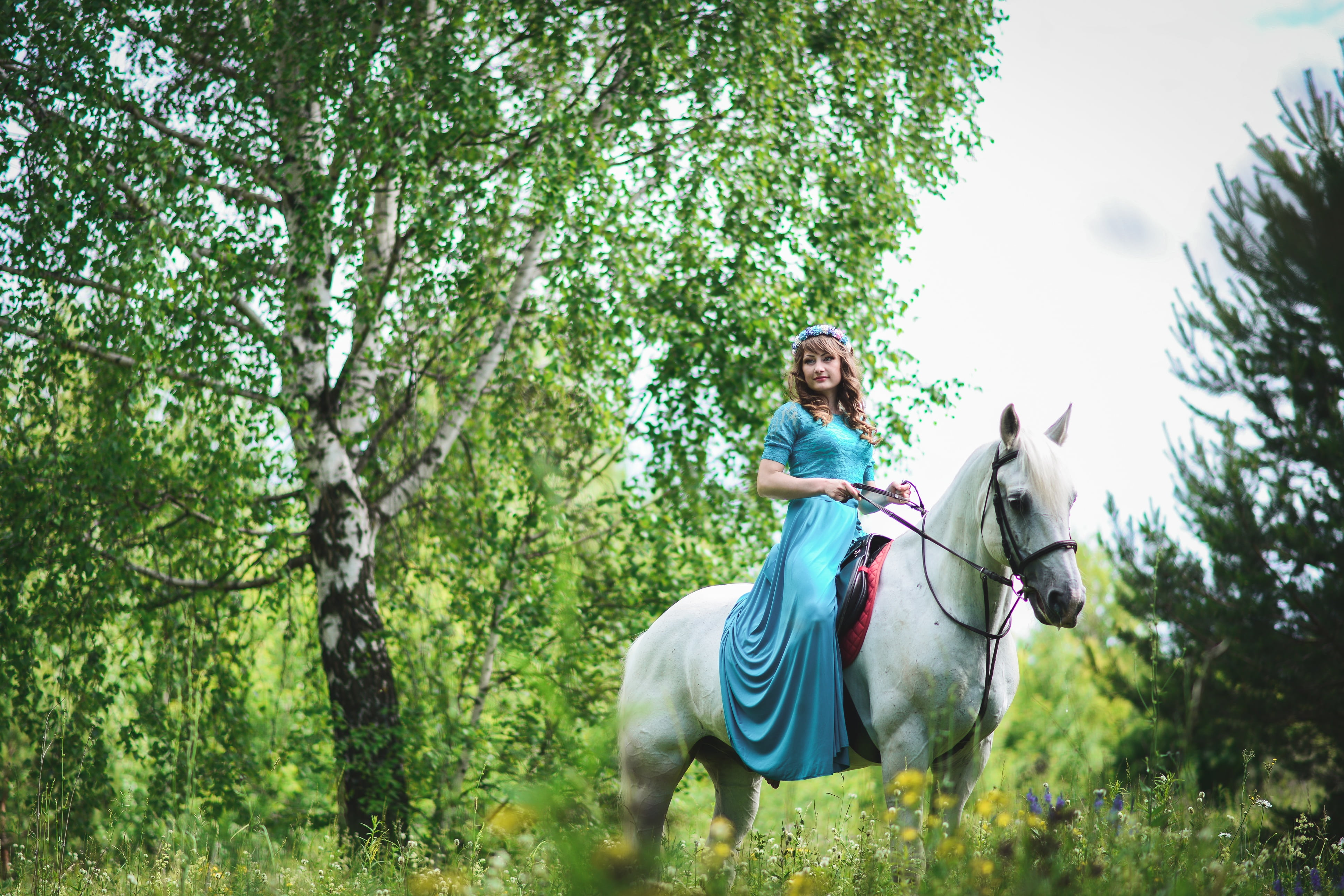 plant, caucasian Ethnicity, woodland, one Person, white horse, women, mammal, activity, lifestyles, females, summer, dress, stallion, outdoors, girl with a horse, HD Wallpaper