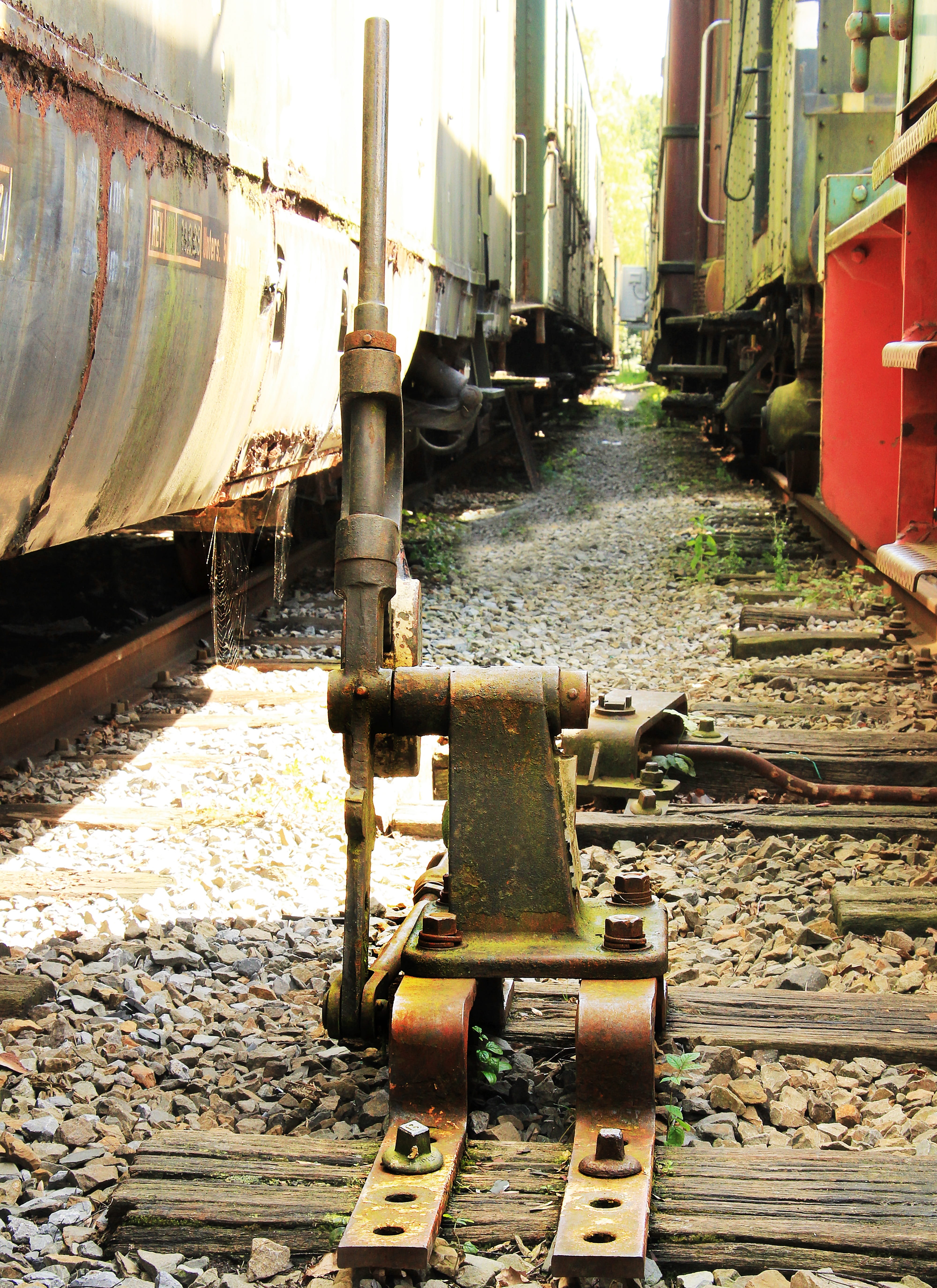wreck, turned off, shut down, railway, built structure, long, rots, trains, rotted trains, water, wooden trains, mode of transportation, track, outdoors, Phone HD Wallpaper