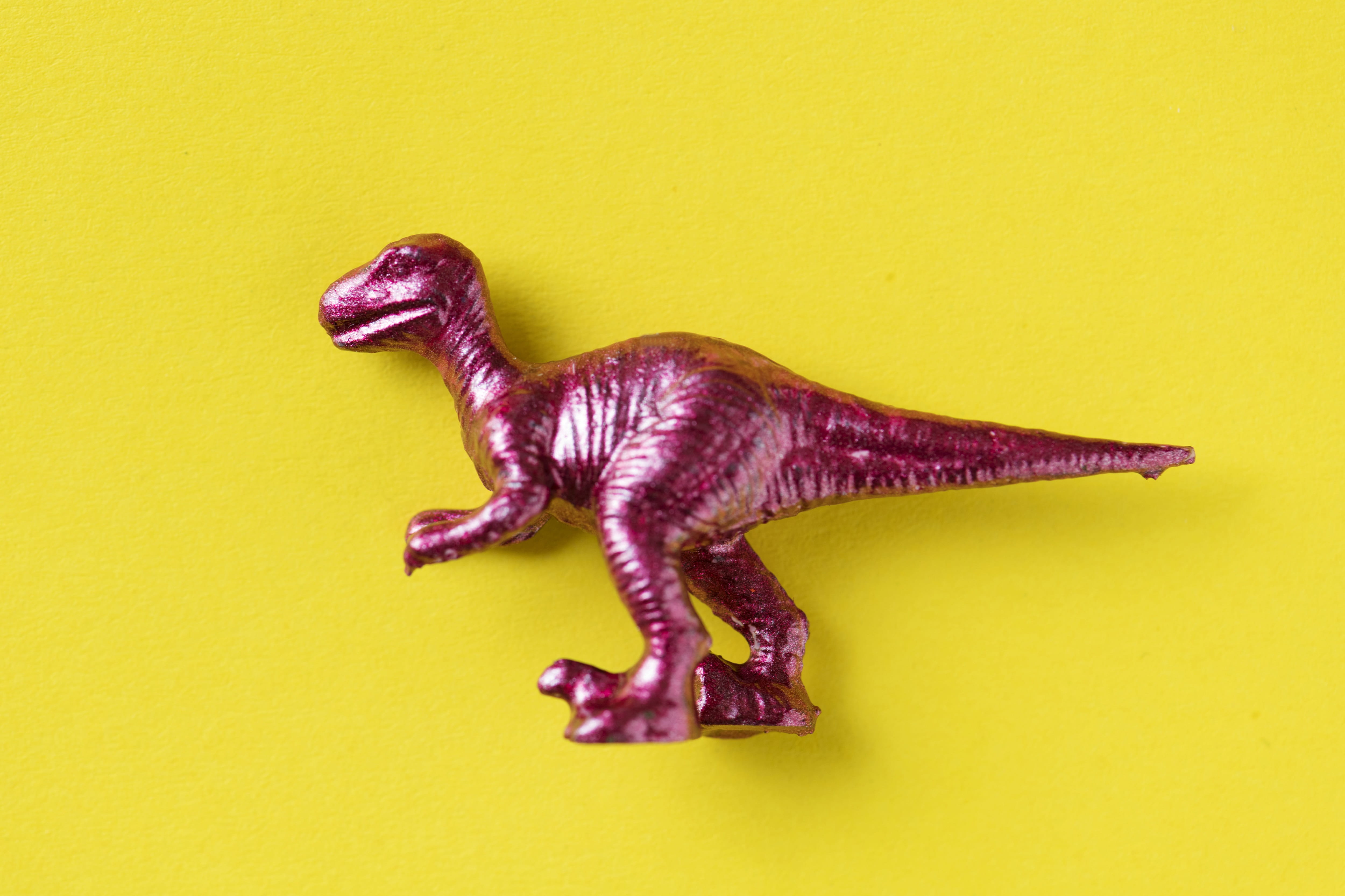 side view, 4K, background, close-up, studio shot, extinct, animal, no people, effects, jurassic, plastic, isolated, childhood, mammal, indoors, funky, HD Wallpaper