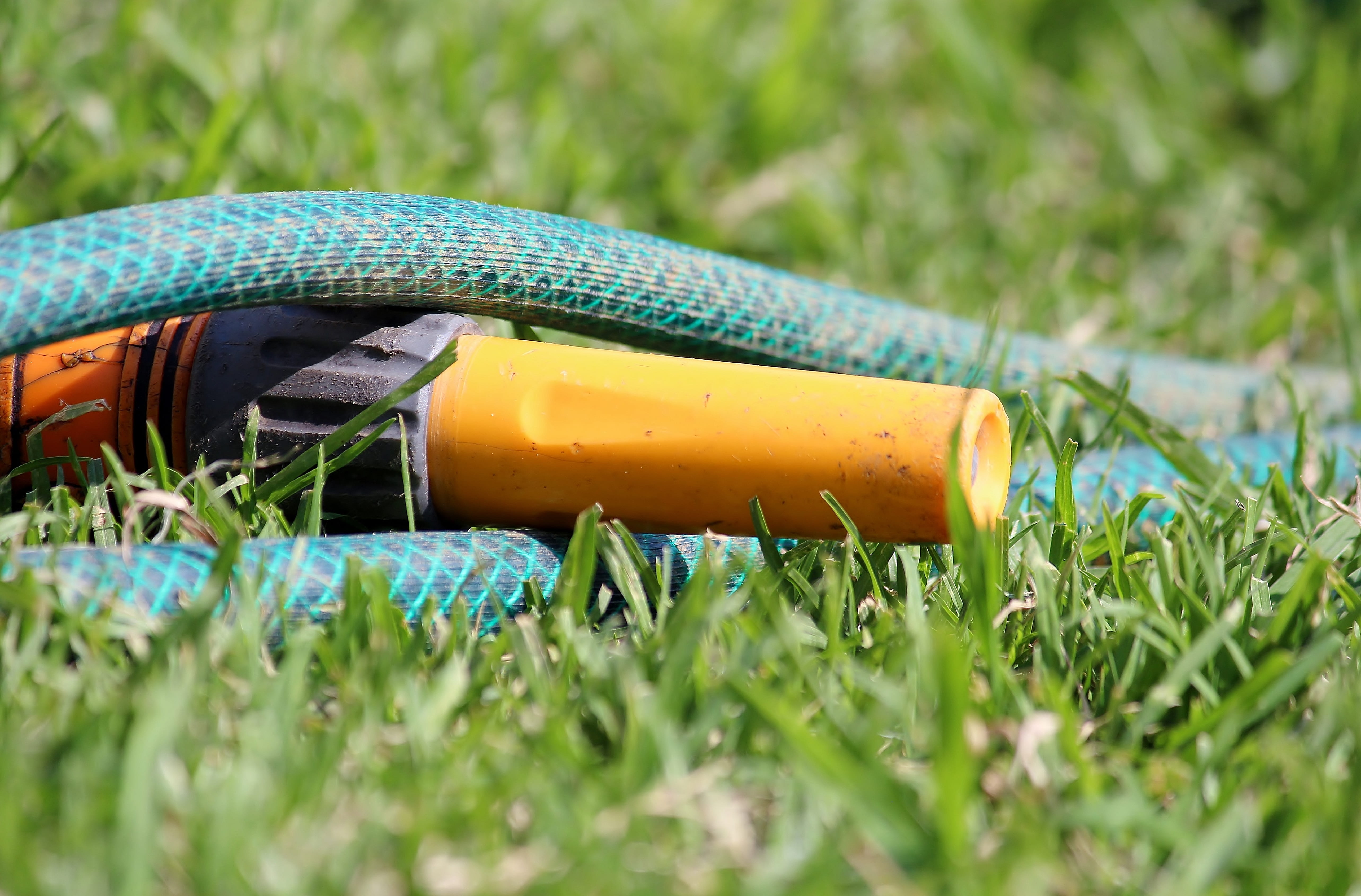 field, gardening equipment, outdoors, flowering plant, selective focus, 5K, plant, water, green, day, nature, green color, no people, grass, meadow, irrigation, HD Wallpaper