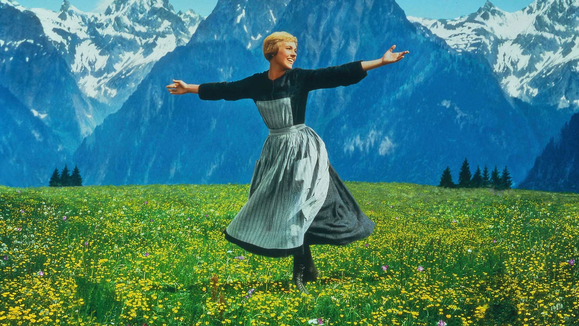 1080P, sound of music, field, dancing, hd, sound, open, music, flowers, HD Wallpaper