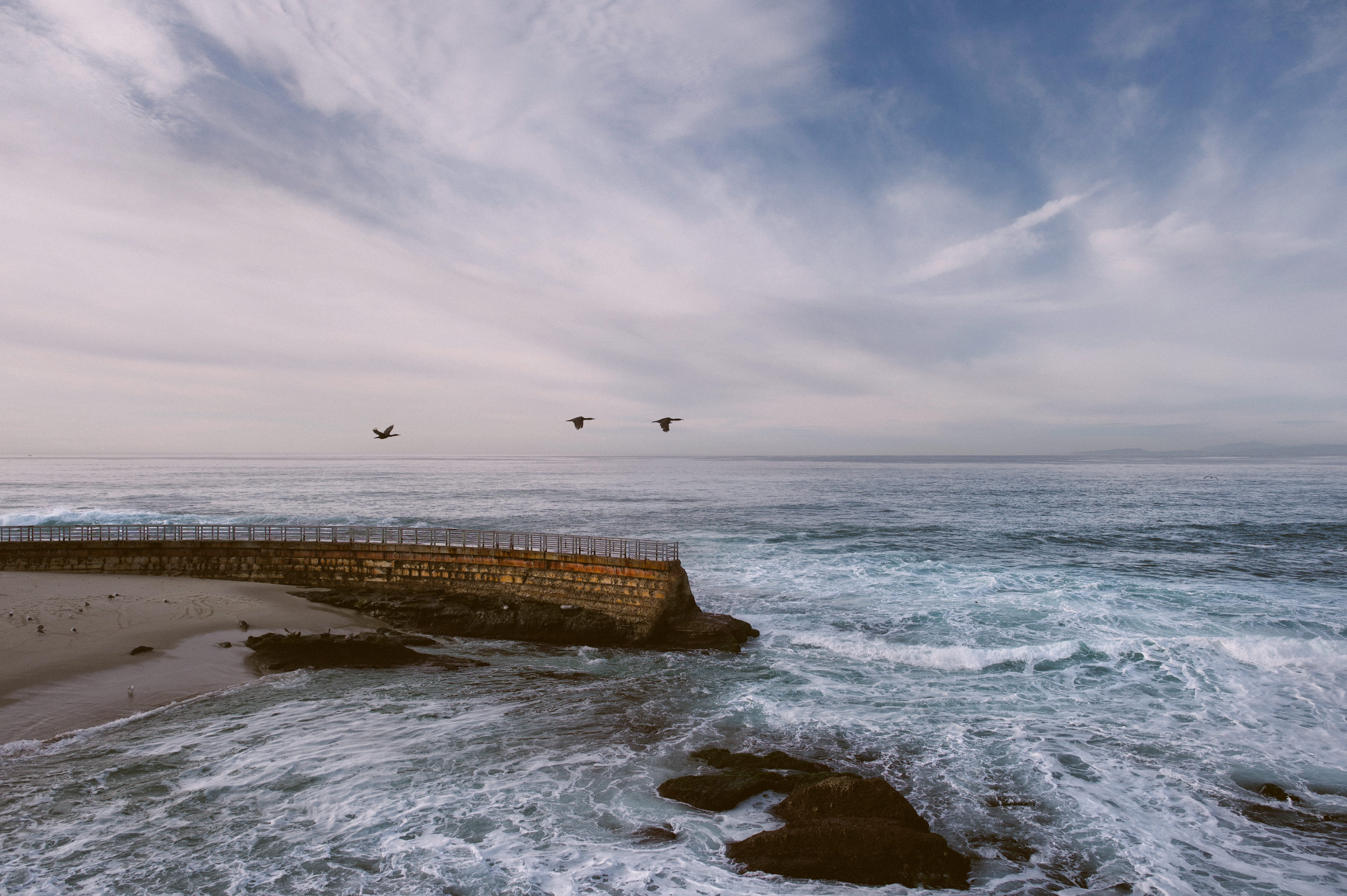 animals in the wild, waves, brown, concrete, wall, blue, landscape, white, sand, ocean, waters Edge, water, no People, sea, coastline, fence, scenics, storm, HD Wallpaper