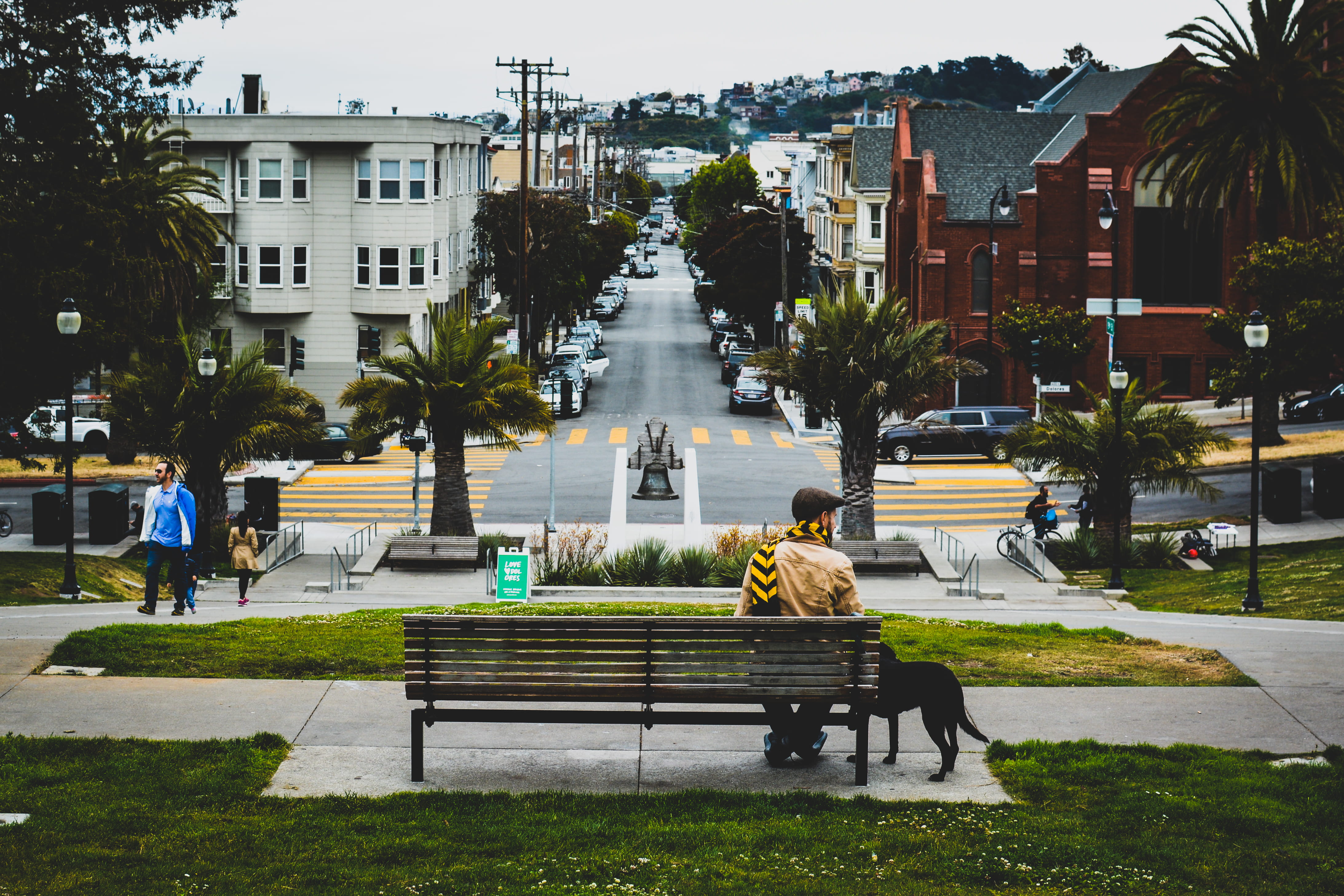 plant, urban, back, person, building exterior, park, beside, from behind, dog walker, city, man, building, dog, architecture, door, incidental people, group of people, HD Wallpaper