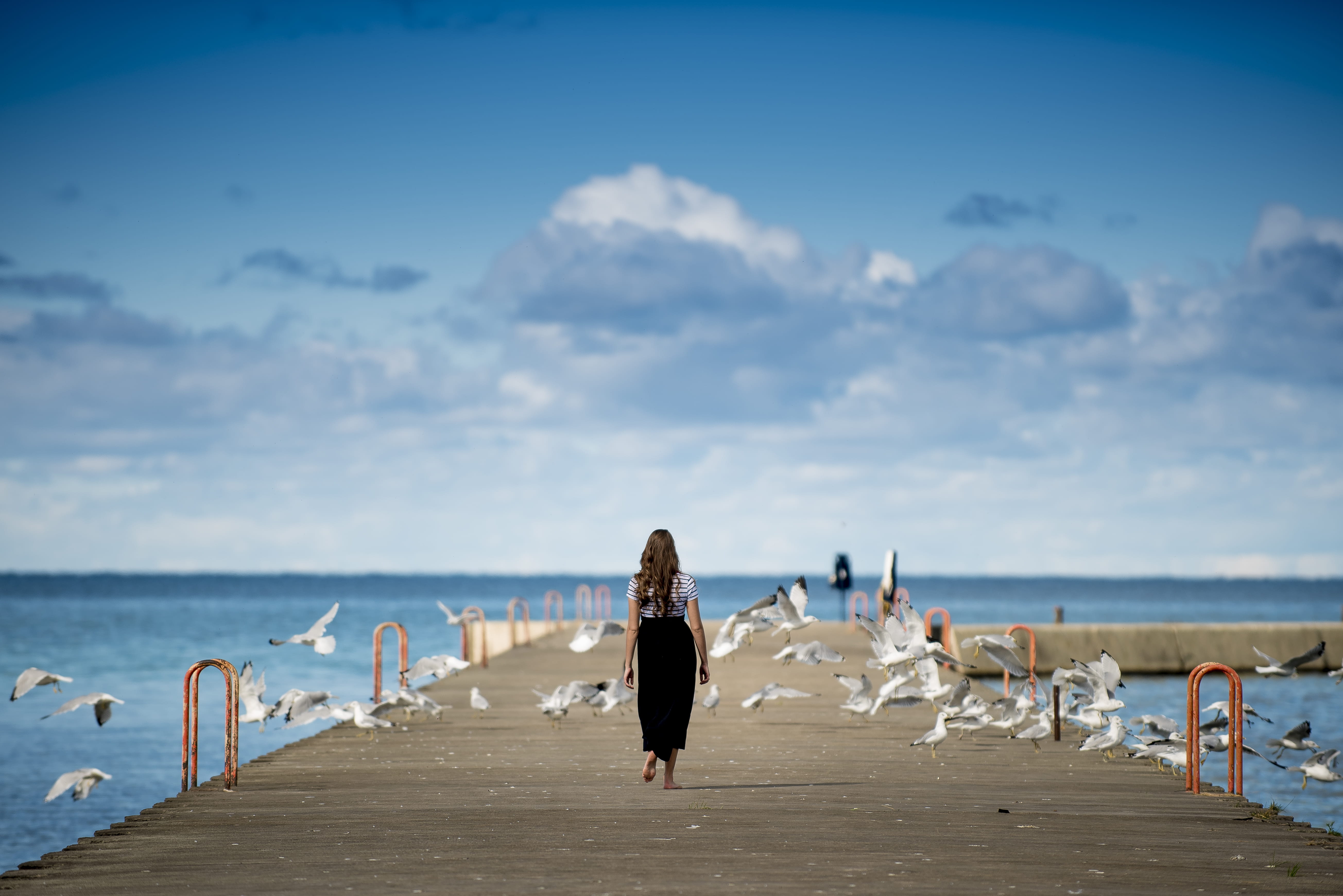 brunette, cloud, standing, gray, woman, leisure activity, birds, beach, seagull, horizon over water, bird, 5K, day, sea, nature, horizon, walking, sky, HD Wallpaper