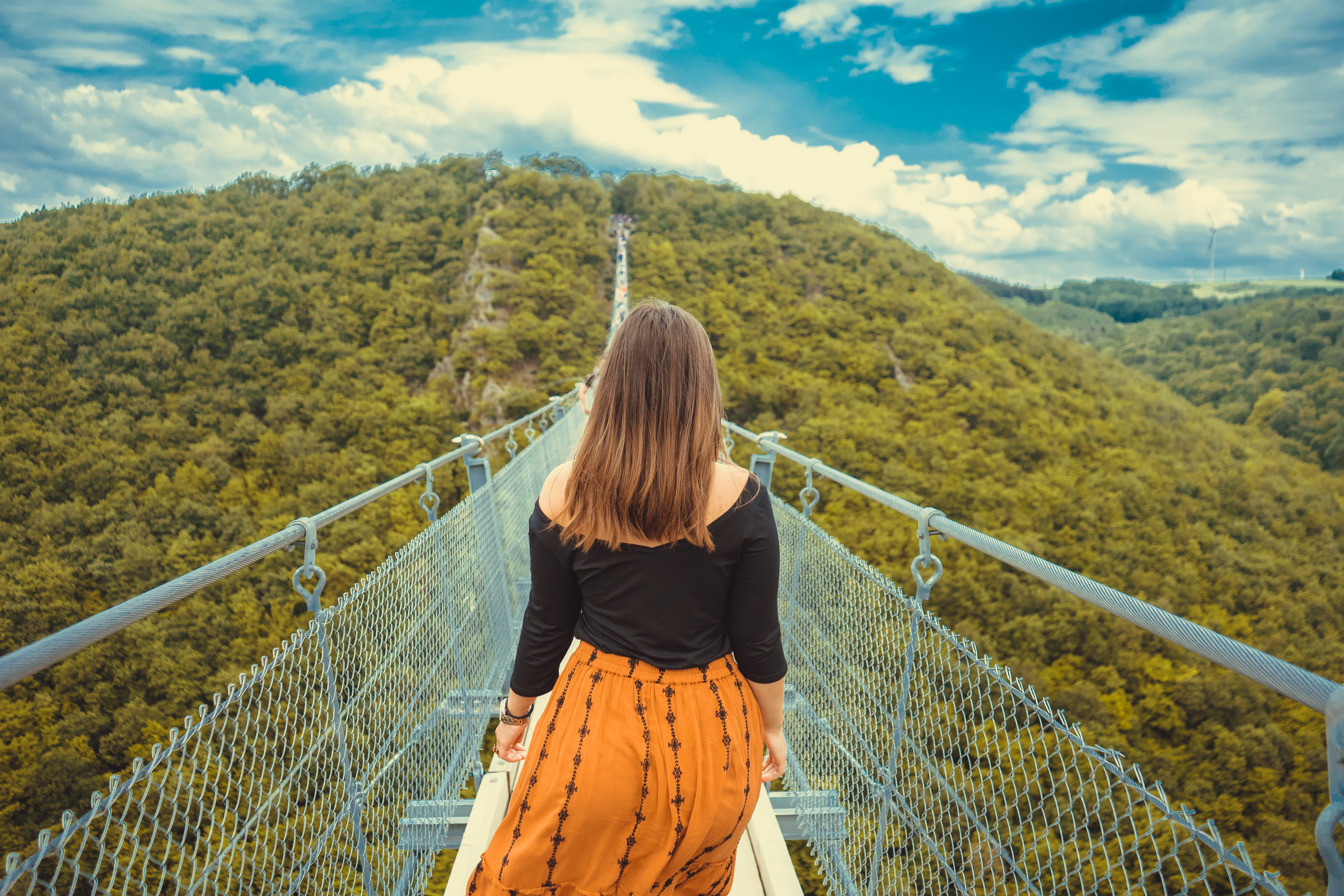 treetop walkway, scenics - nature, adult, walking, plant, sky, trees, green, rear view, real people, canopy walkway, adventure, railing, hairstyle, from behind, HD Wallpaper