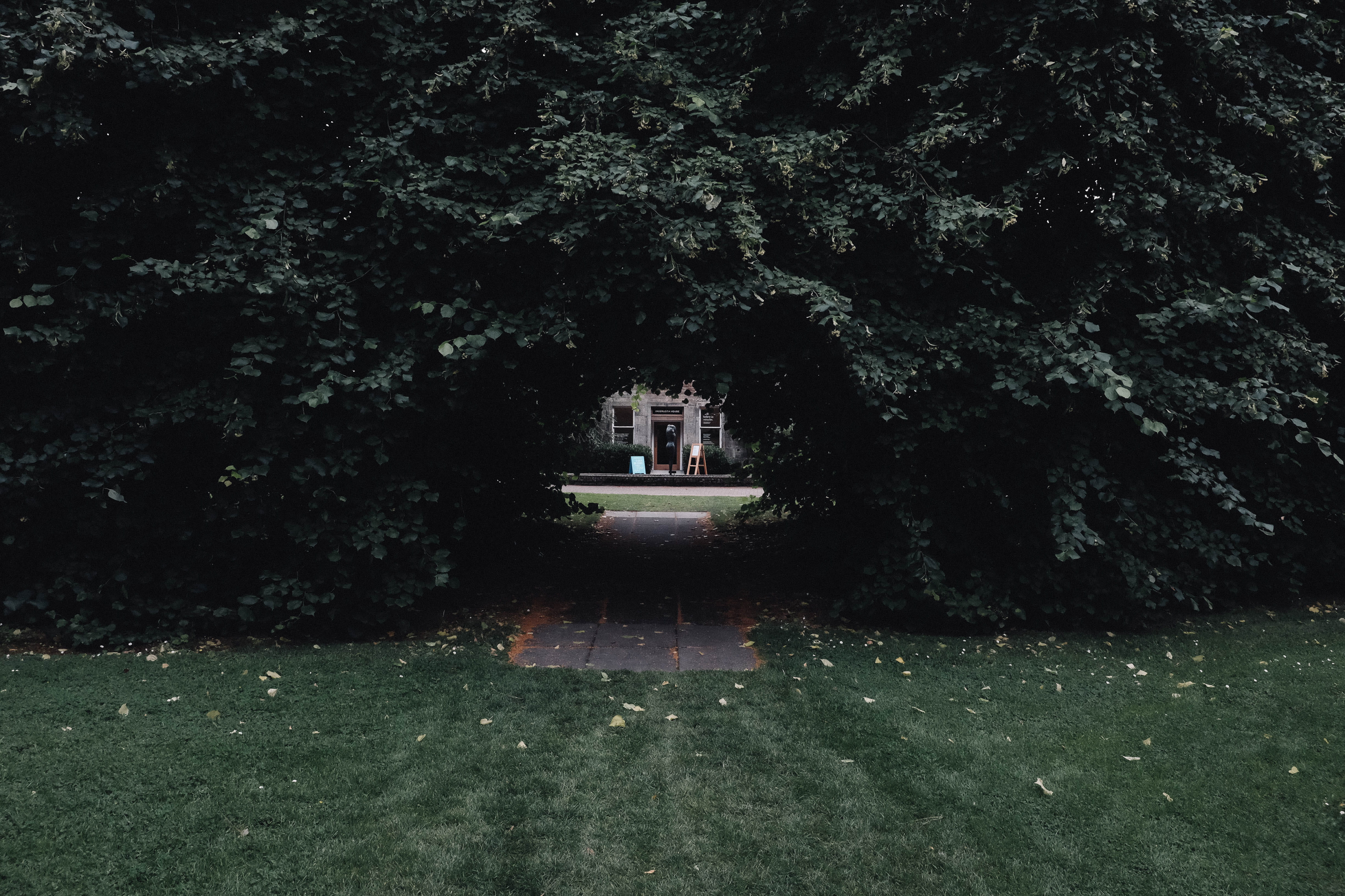 no people, opening, water, growth, nature, path, built structure, illuminated, park, plant, outdoors, tunnel, behind, garden, stroll, beauty in nature, HD Wallpaper