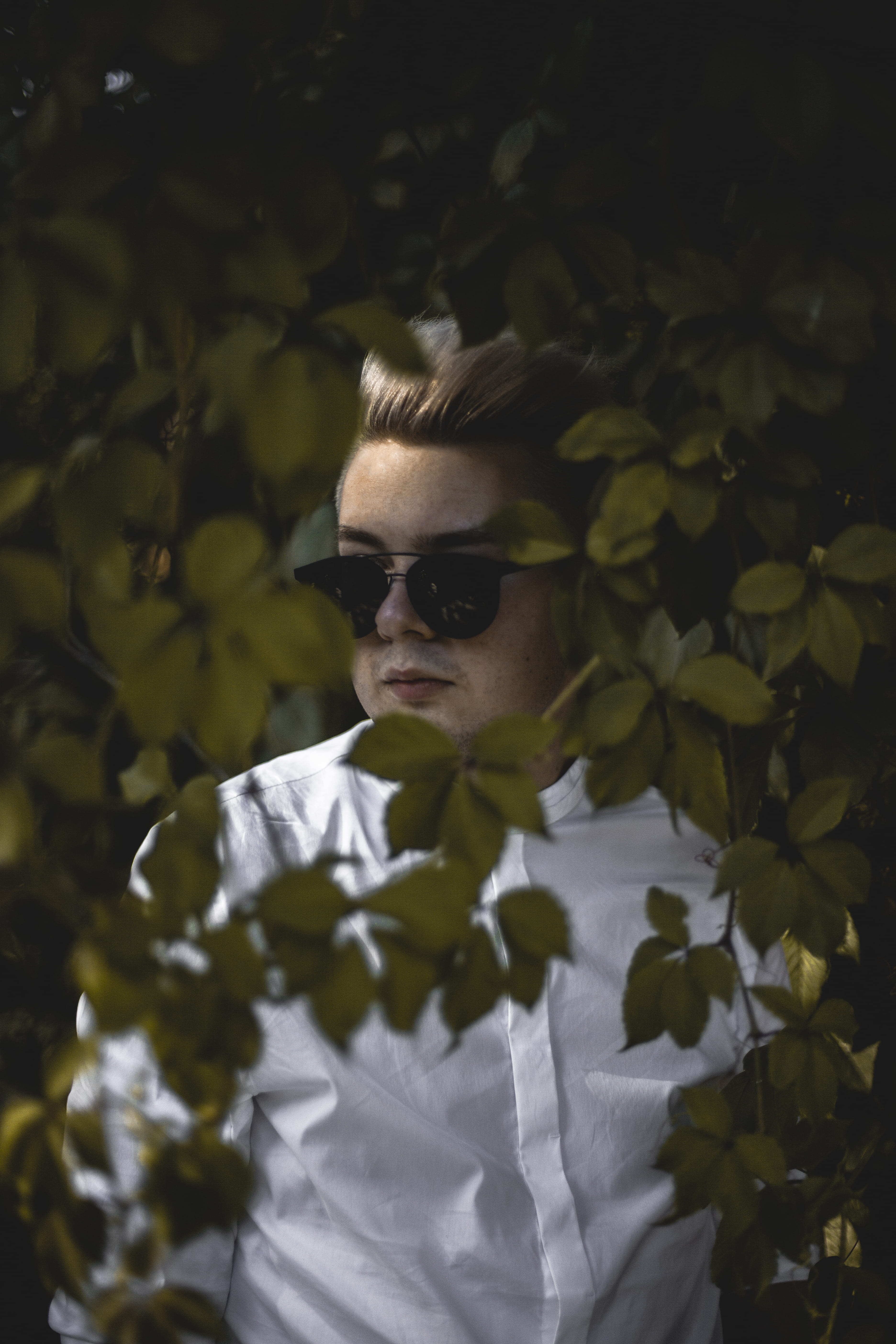 young adult, blur, plant, front view, light, fall, behind, wear, sunglasses, white shirt, leaves, person, leaf, fashion, from behind, headshot, man, glasses, Phone HD Wallpaper