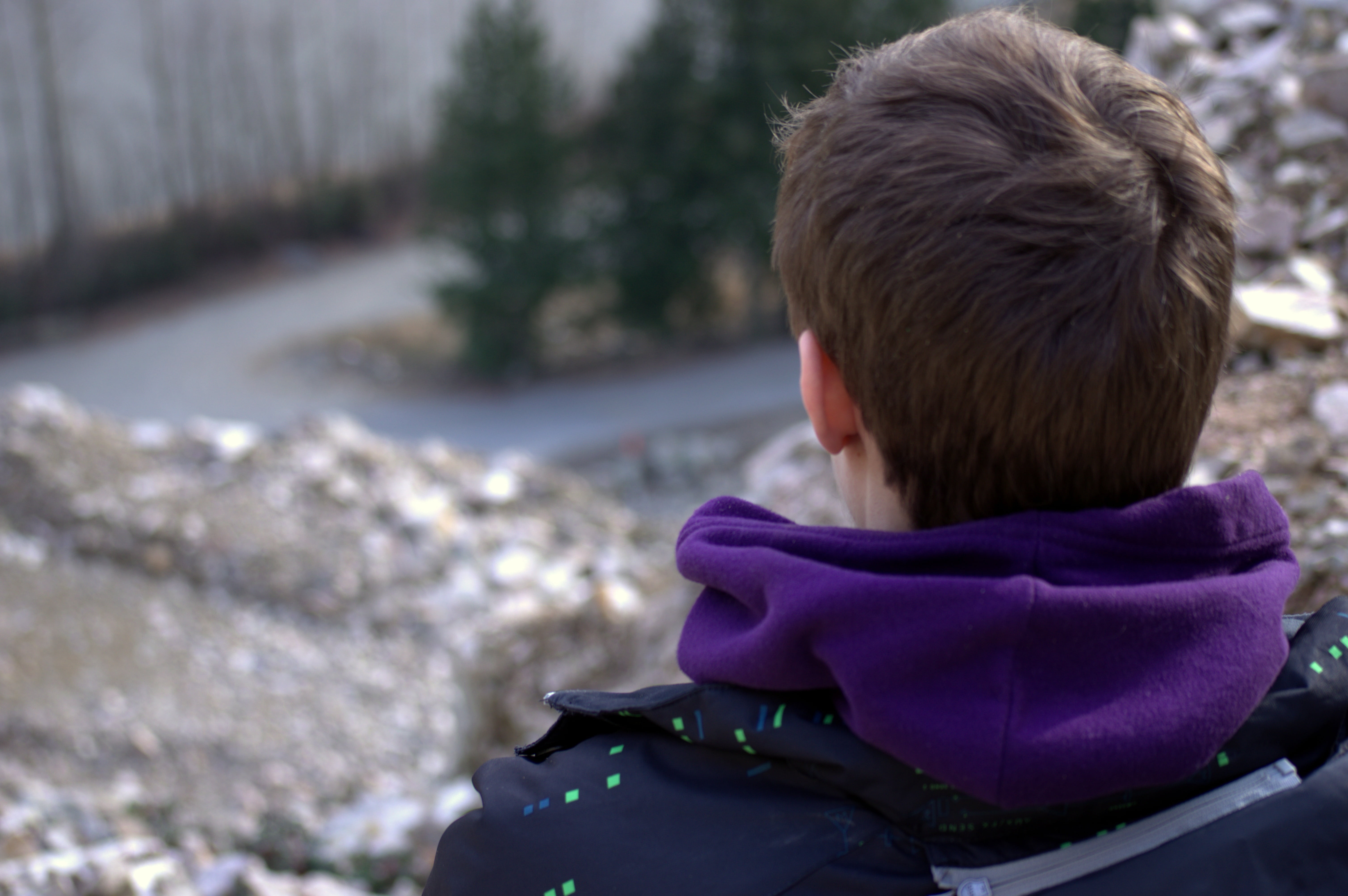 hair, hooded, childhood, male, guy, boys, warm clothing, from behind, outdoors, day, nature, hood - clothing, sitting, trees, landscape, focus on foreground, HD Wallpaper