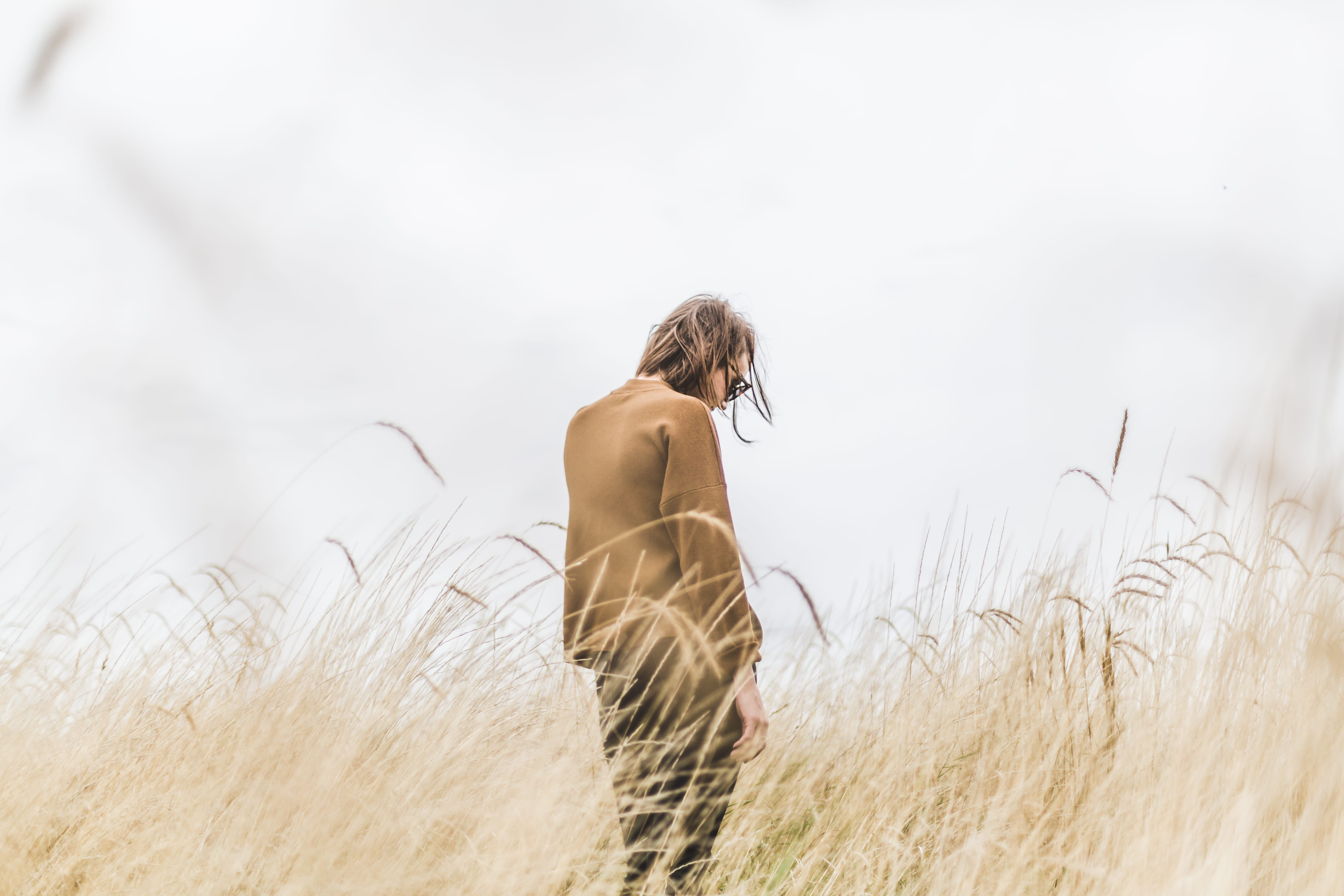 wearing, women, males, color Image, hairstyle, wheat, people, rear View, nature, field, 5K, leisure activity, plant, middle, day, caucasian Ethnicity, HD Wallpaper