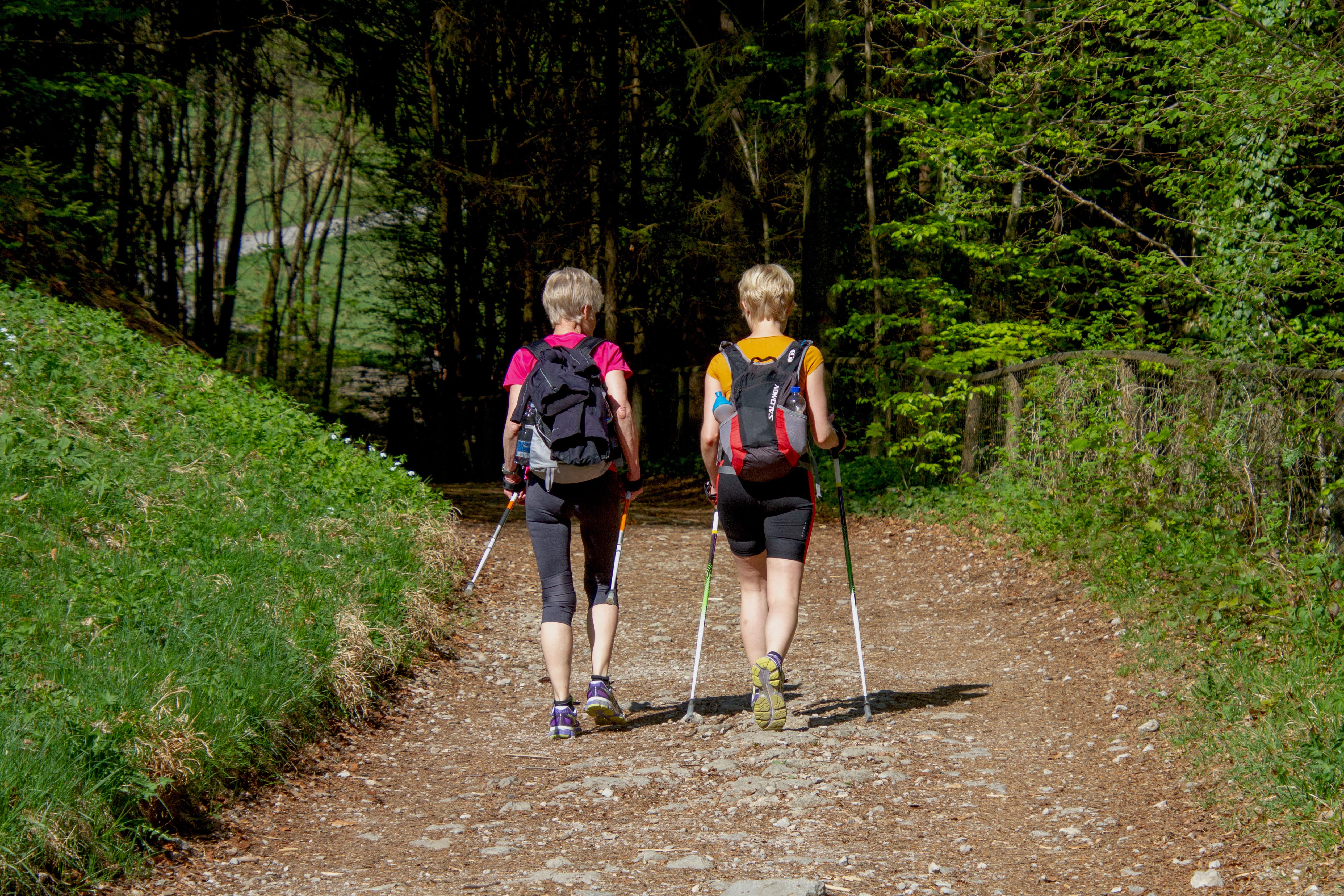 daytime, along, women, girlfriends, outdoor, child, landscape, leisure activity, togetherness, persons, nature, away, footpath, outdoors, walking, nordic walking, HD Wallpaper