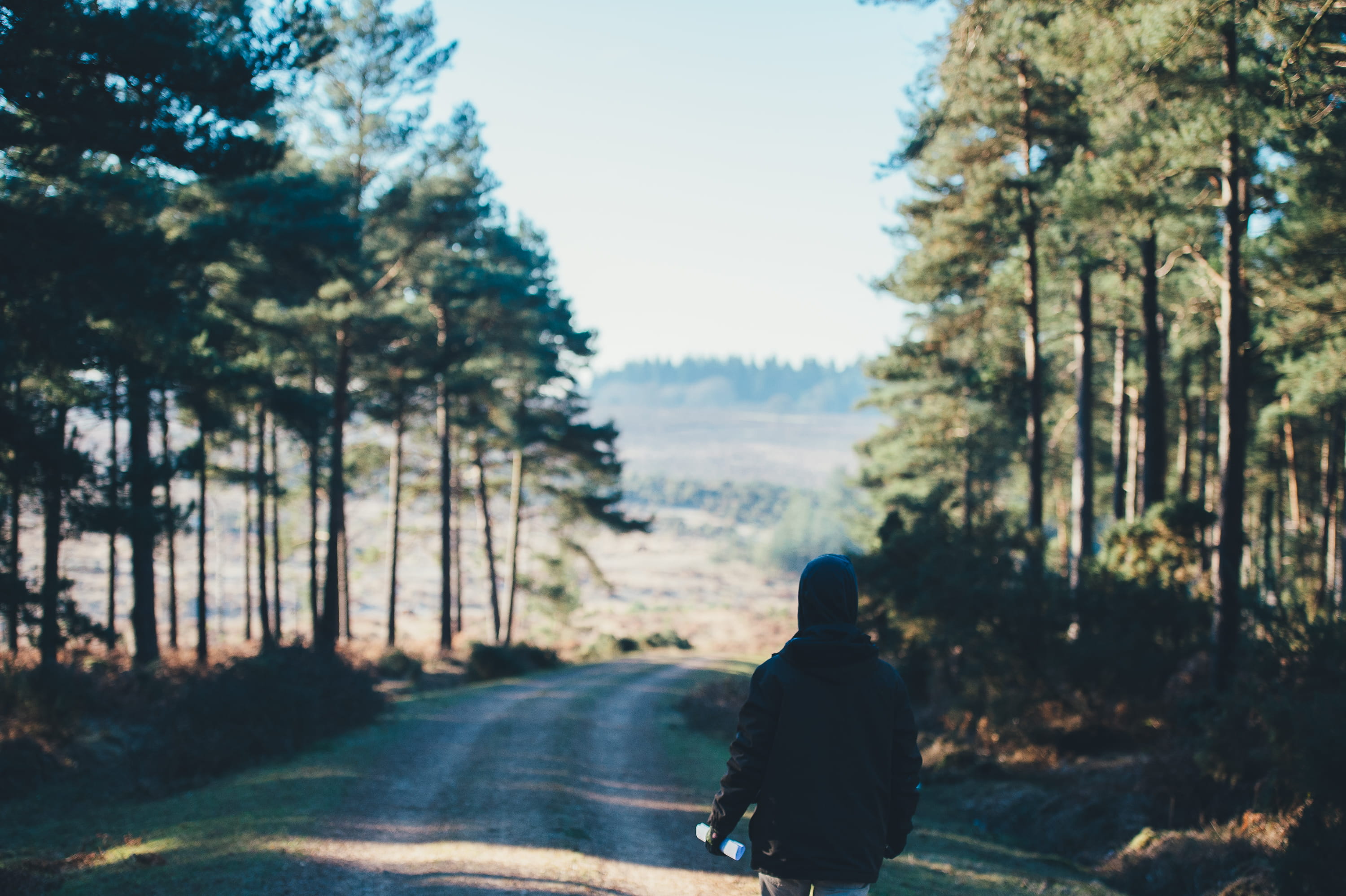 sitting, trees, black, forest, scenics, wearing, rear view, land, leisure activity, pathway, beauty in nature, sky, 2K, adult, jacket, hood - clothing, HD Wallpaper