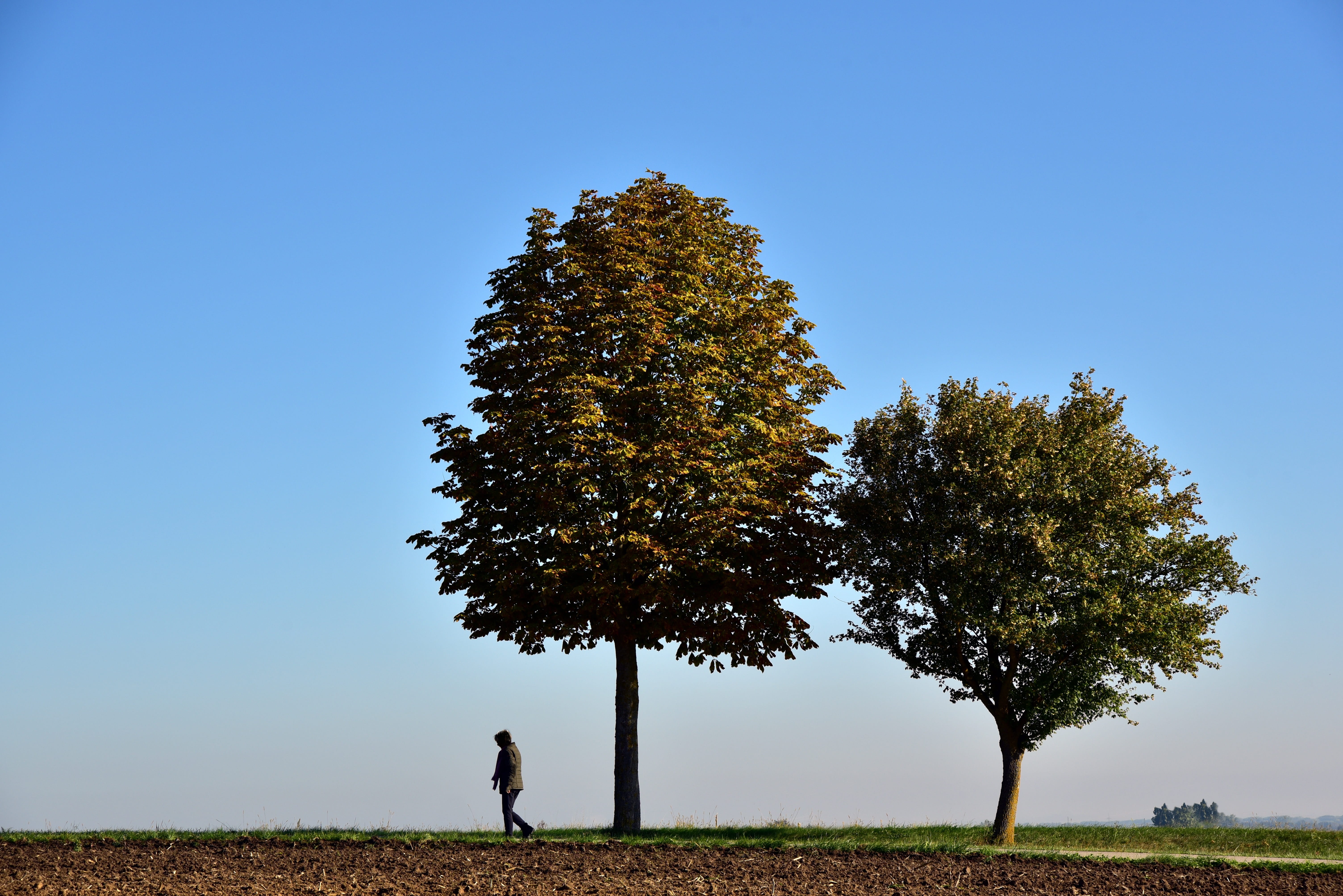 lonely, clear sky, pedestrian, outdoors, grass, men, away, trees, sky, autumn, plant, one person, real people, person, full length, beauty in nature, growth, HD Wallpaper